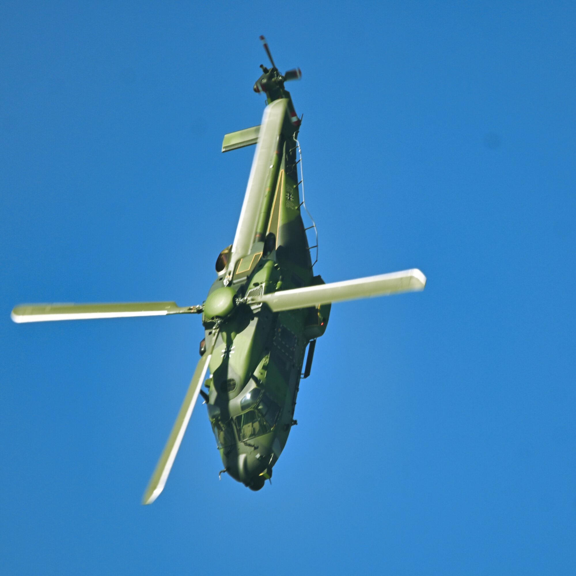 DSC_4262.jpg