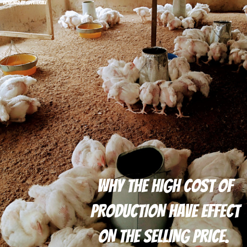 @peterale/why-the-high-cost-of-production-have-effect-on-the-selling-price