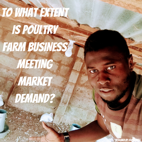 @peterale/to-what-extent-is-poultry-farm-business-meeting-the-market-demand