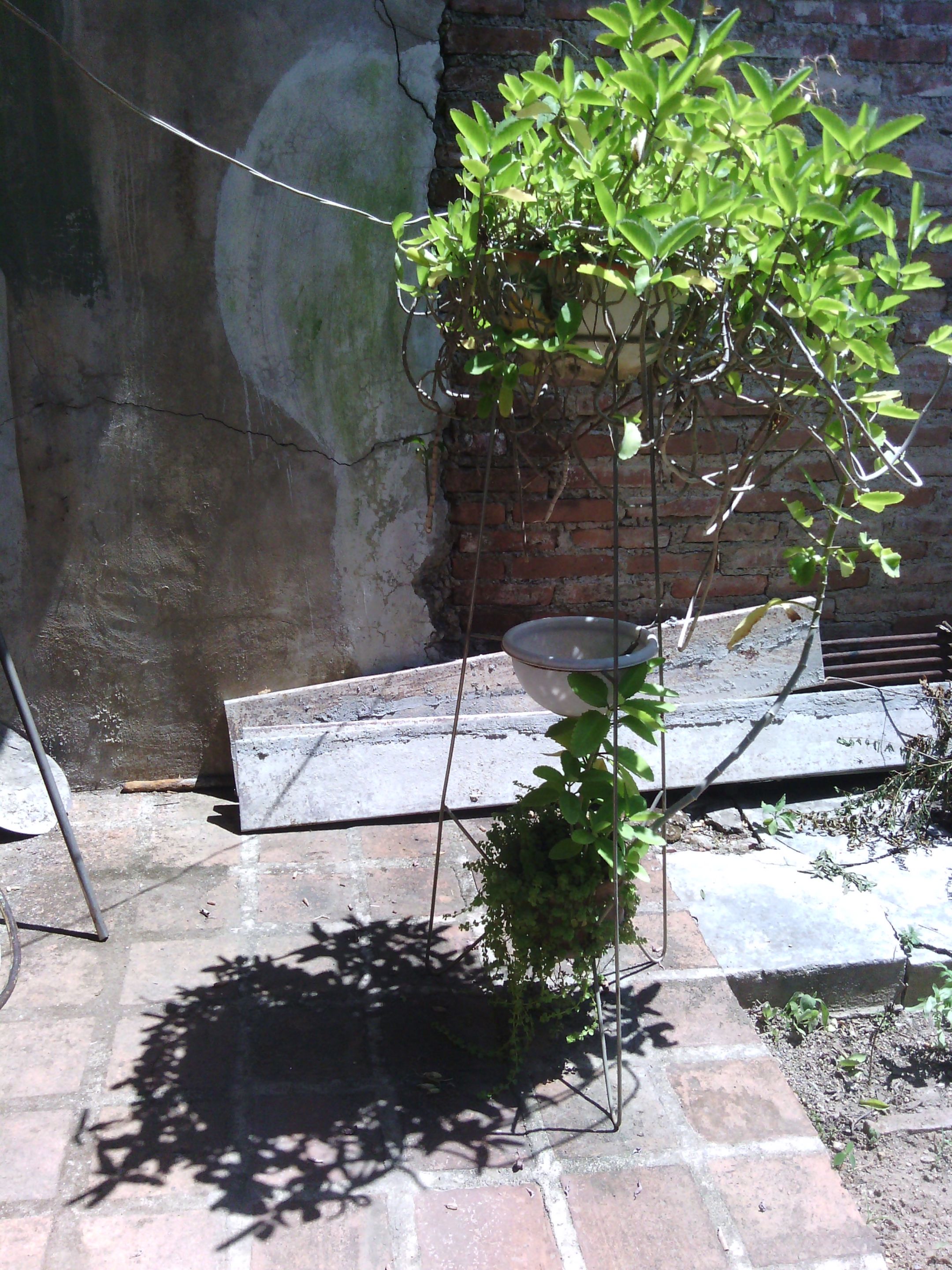Sombras 012.jpg