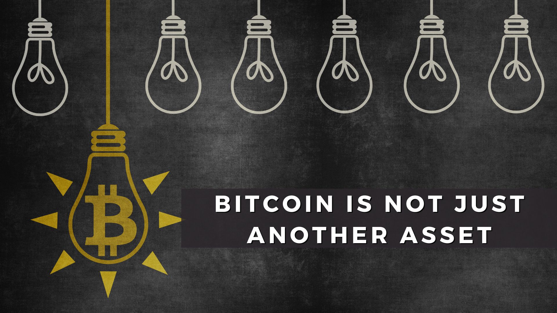 Bitcoin Is Not Just Another Asset.jpg
