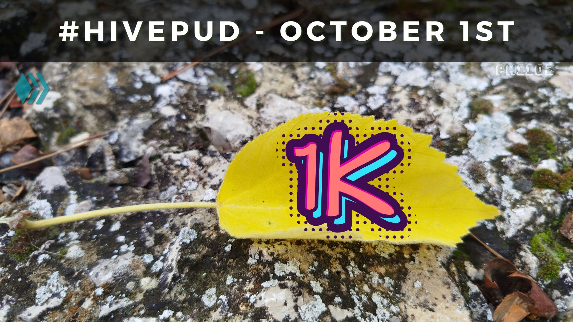 HivePUD-October-2025.jpg