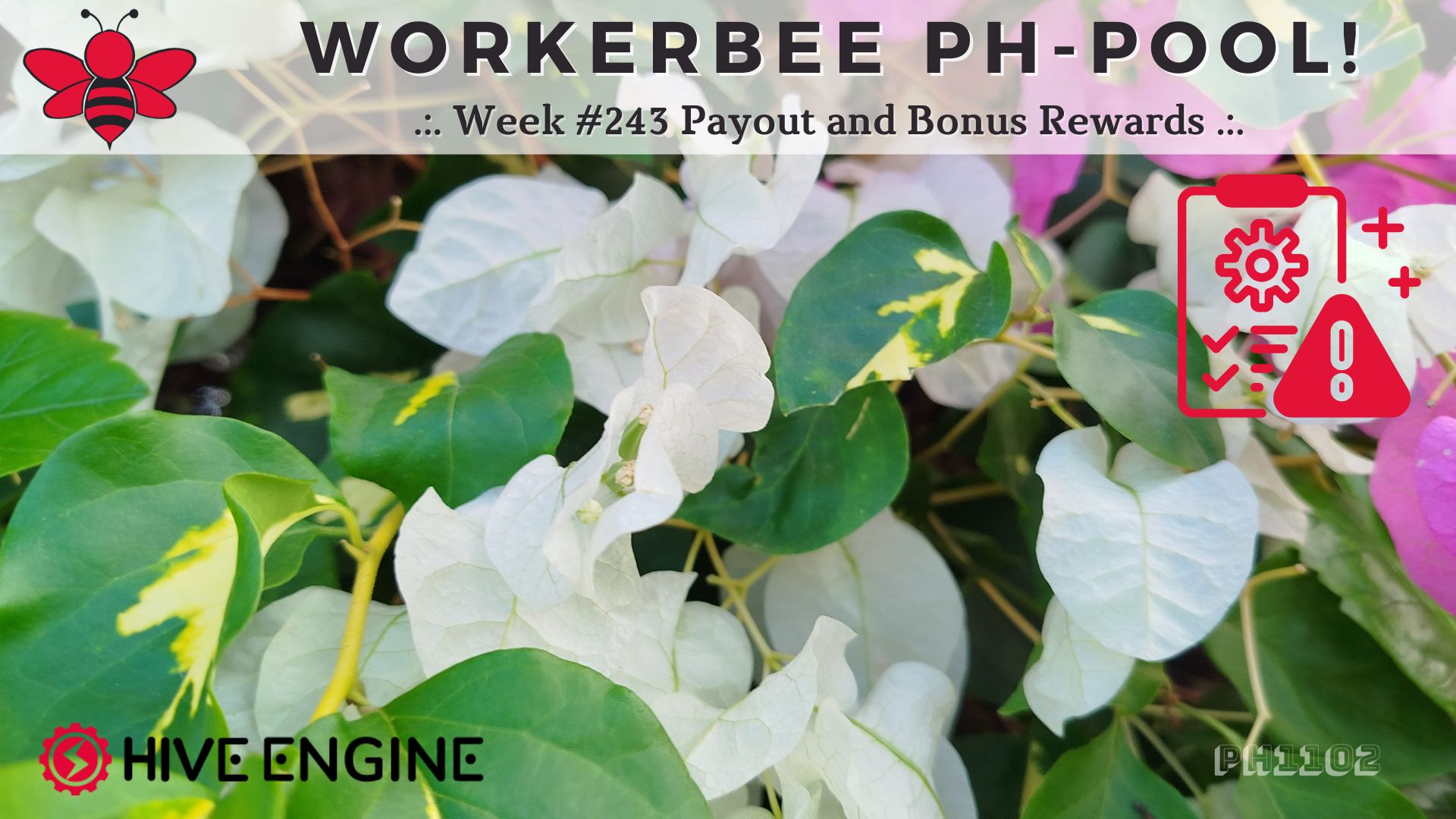 WorkerBee Pool 243.jpg