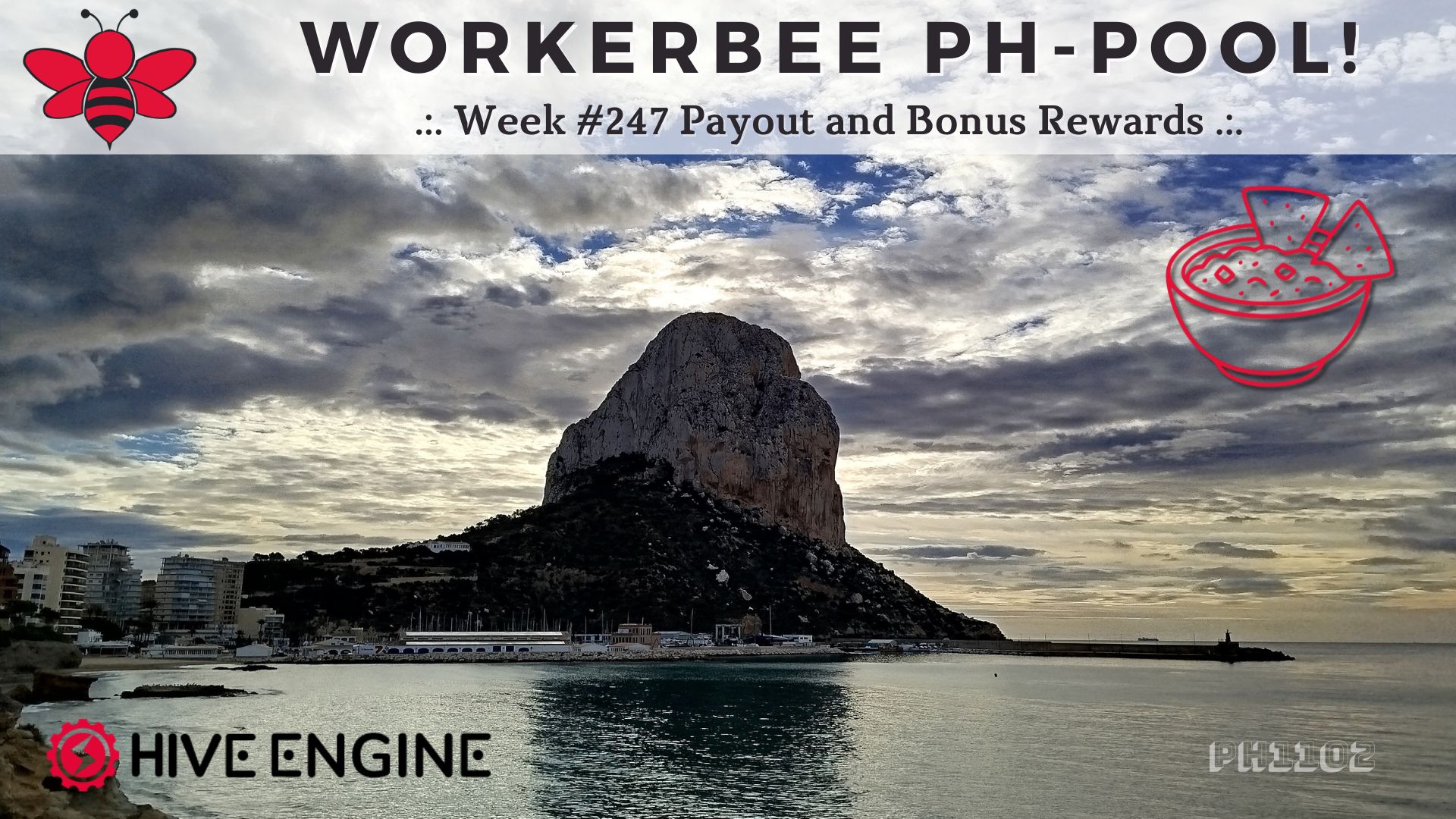 WorkerBee Pool 247.jpg