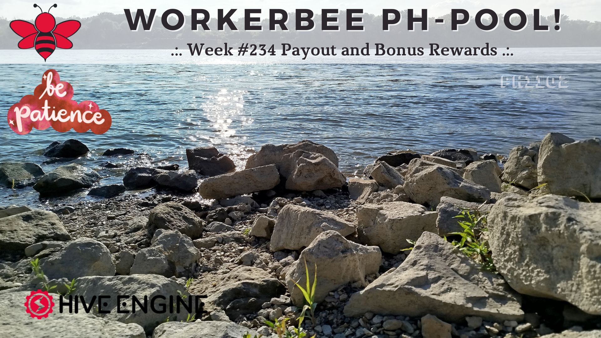 WorkerBee Pool 234.jpg