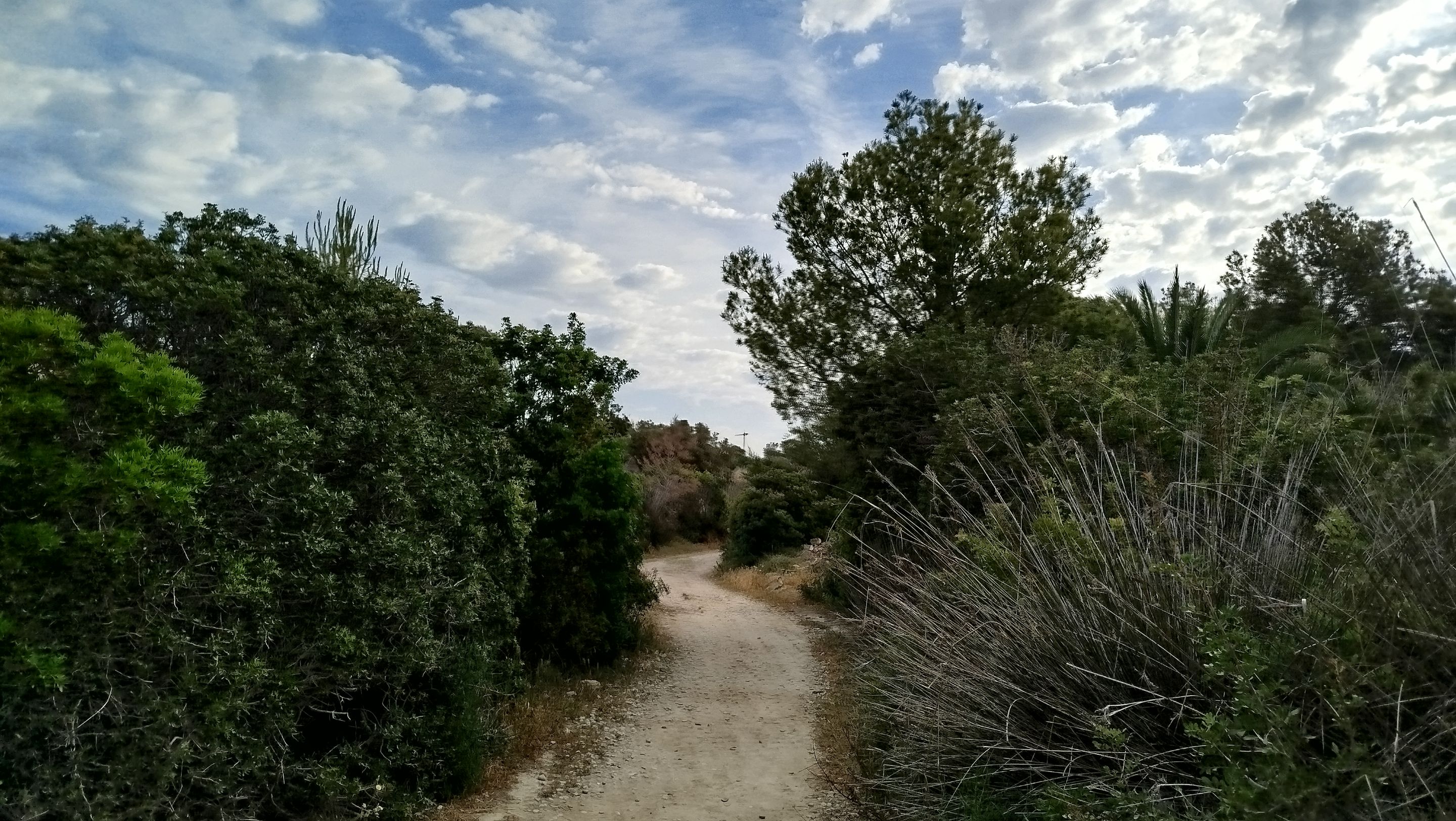 03.jpg