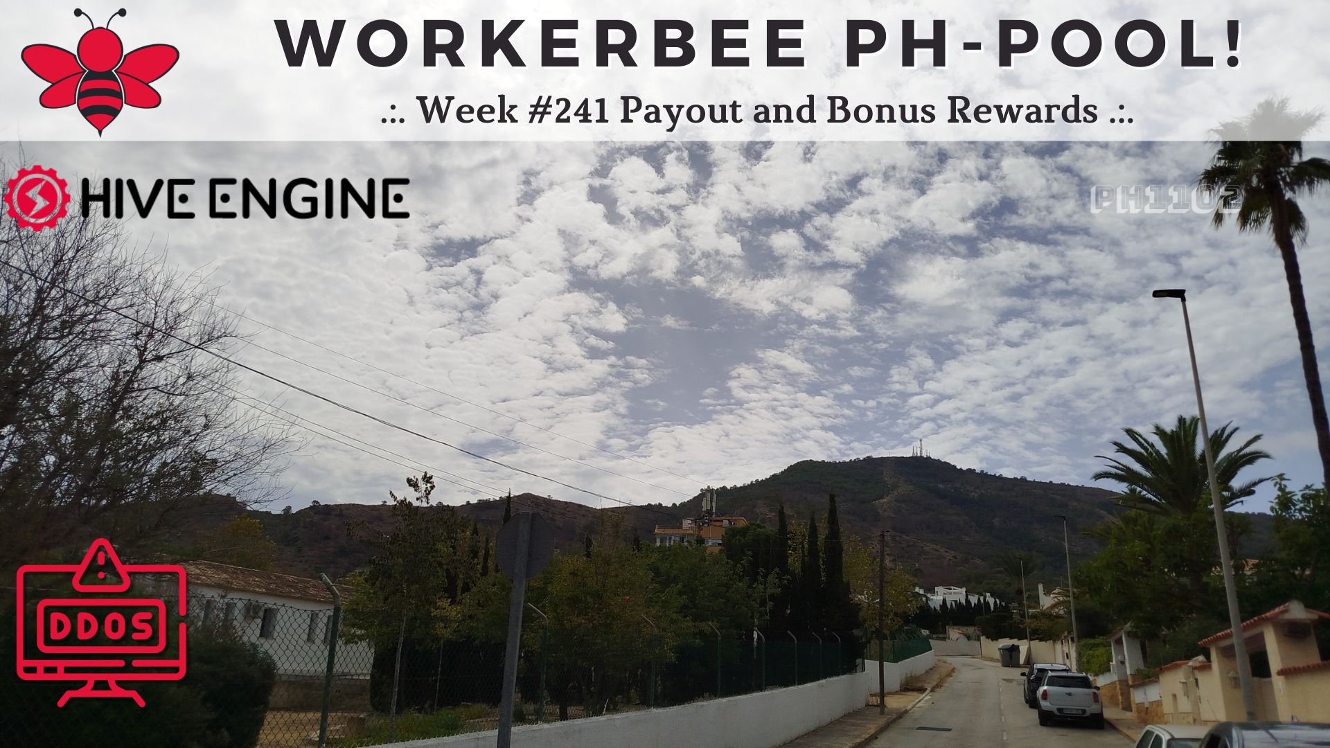 WorkerBee Pool 241.jpg