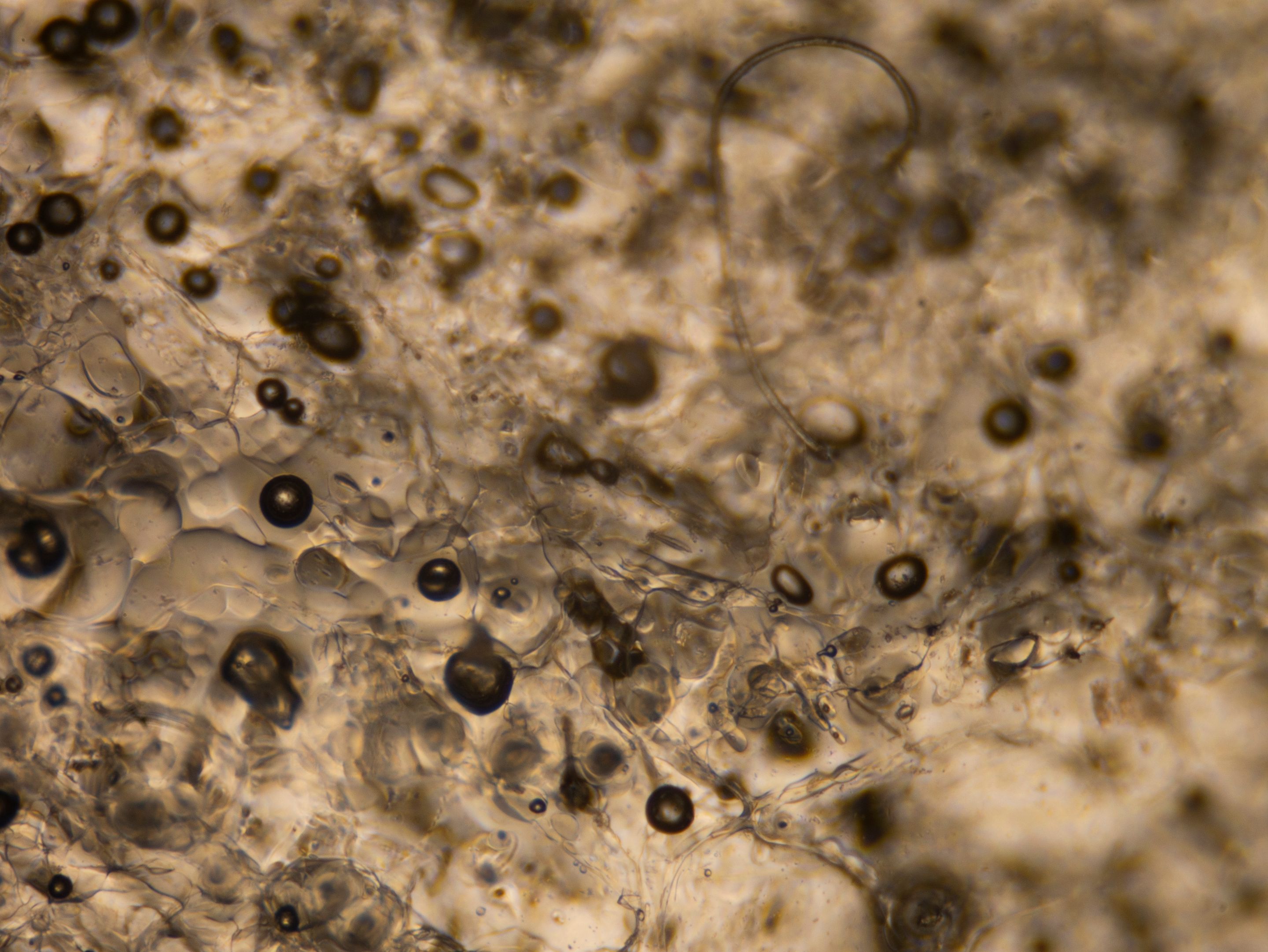 P1140396-1.jpg