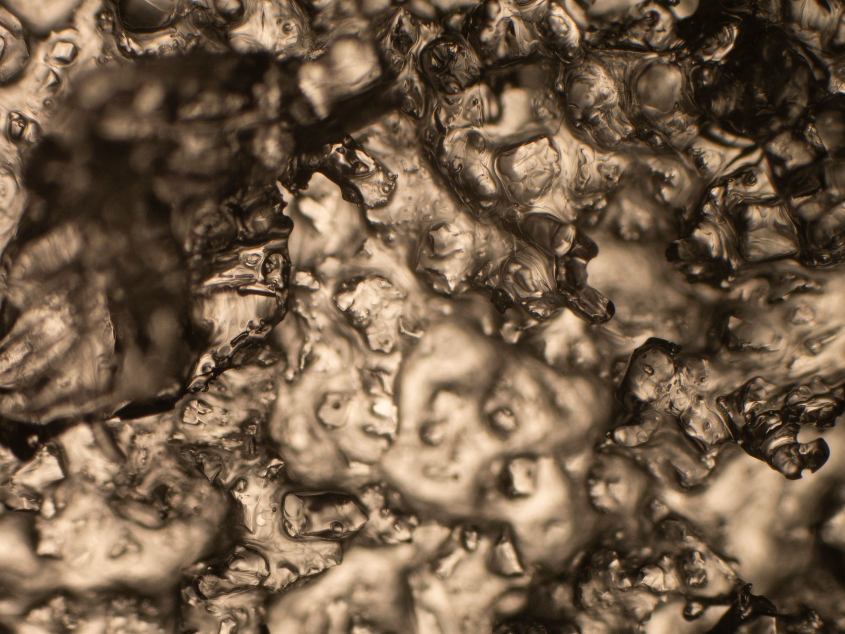 P1140385-1.jpg