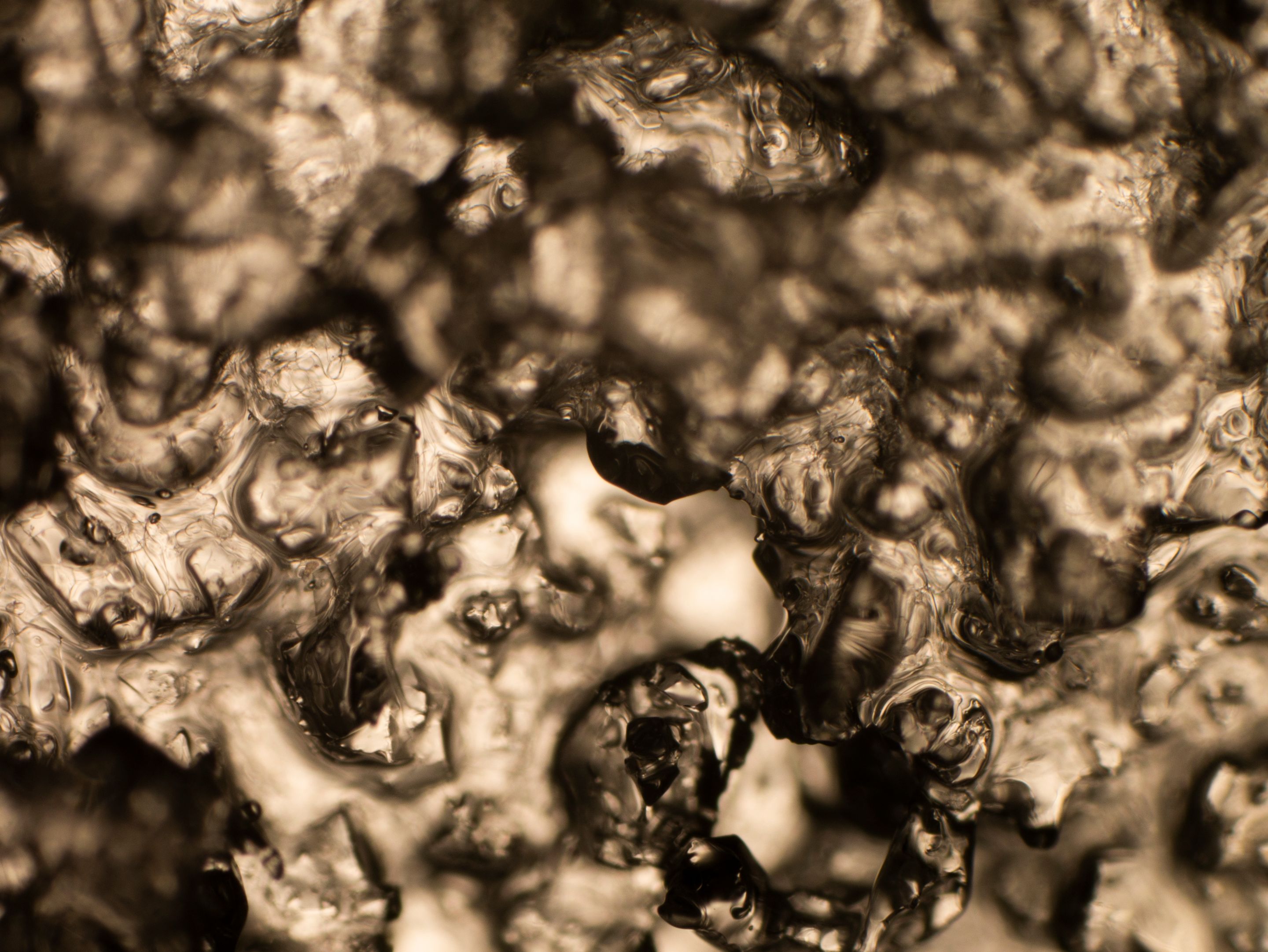 P1140386-1.jpg