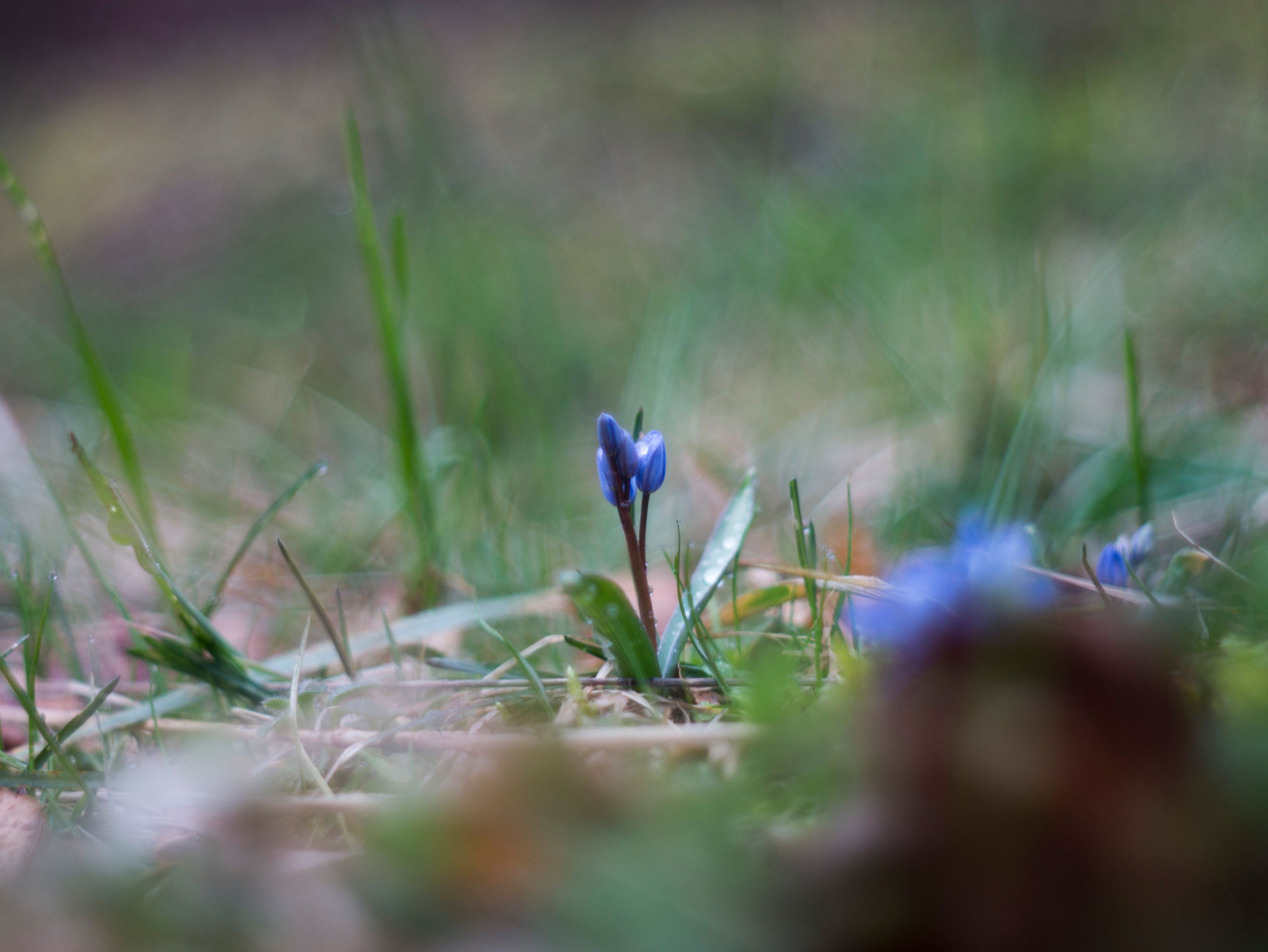 P1120260-1.jpg