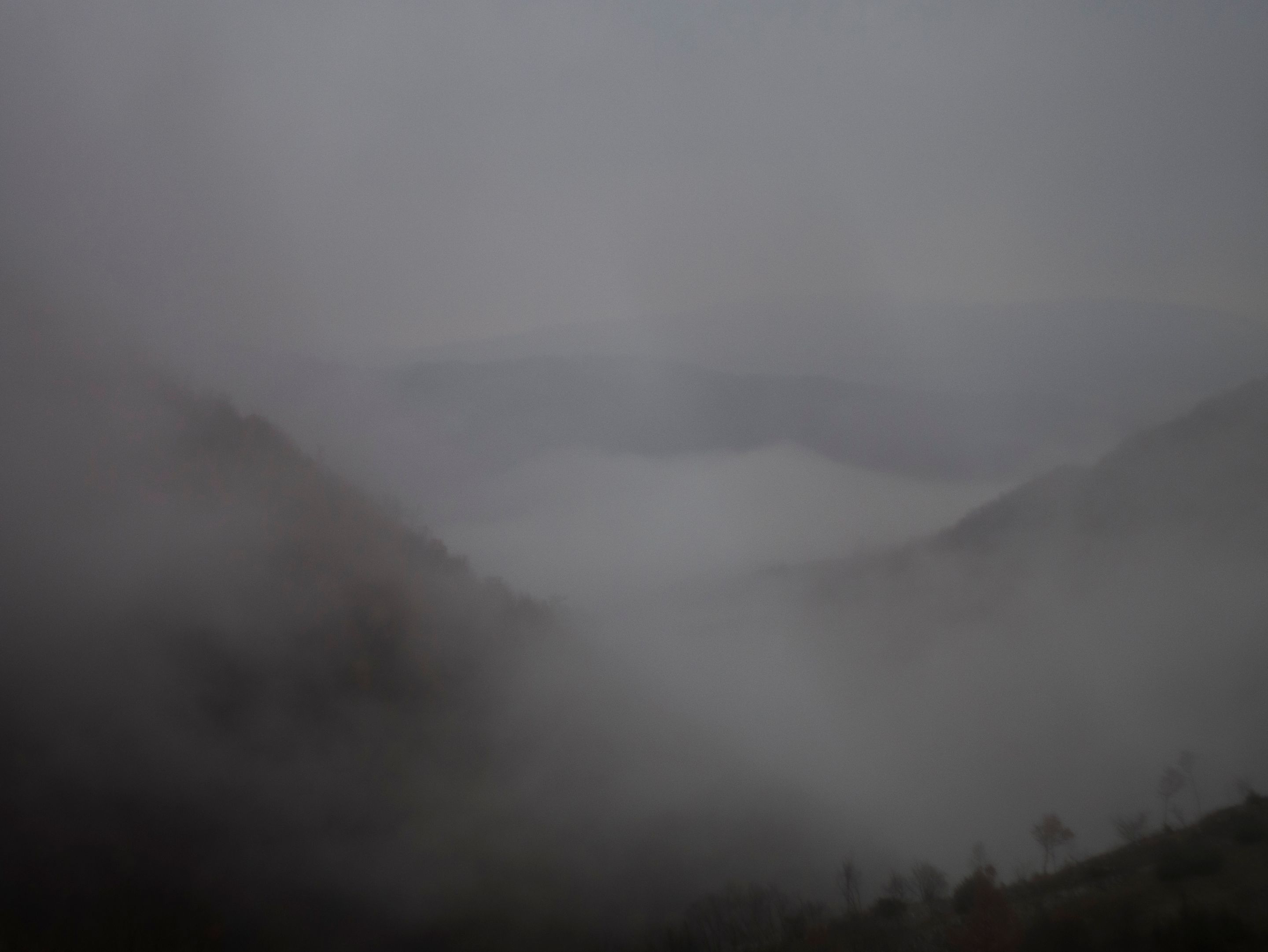 P1120252-1.jpg
