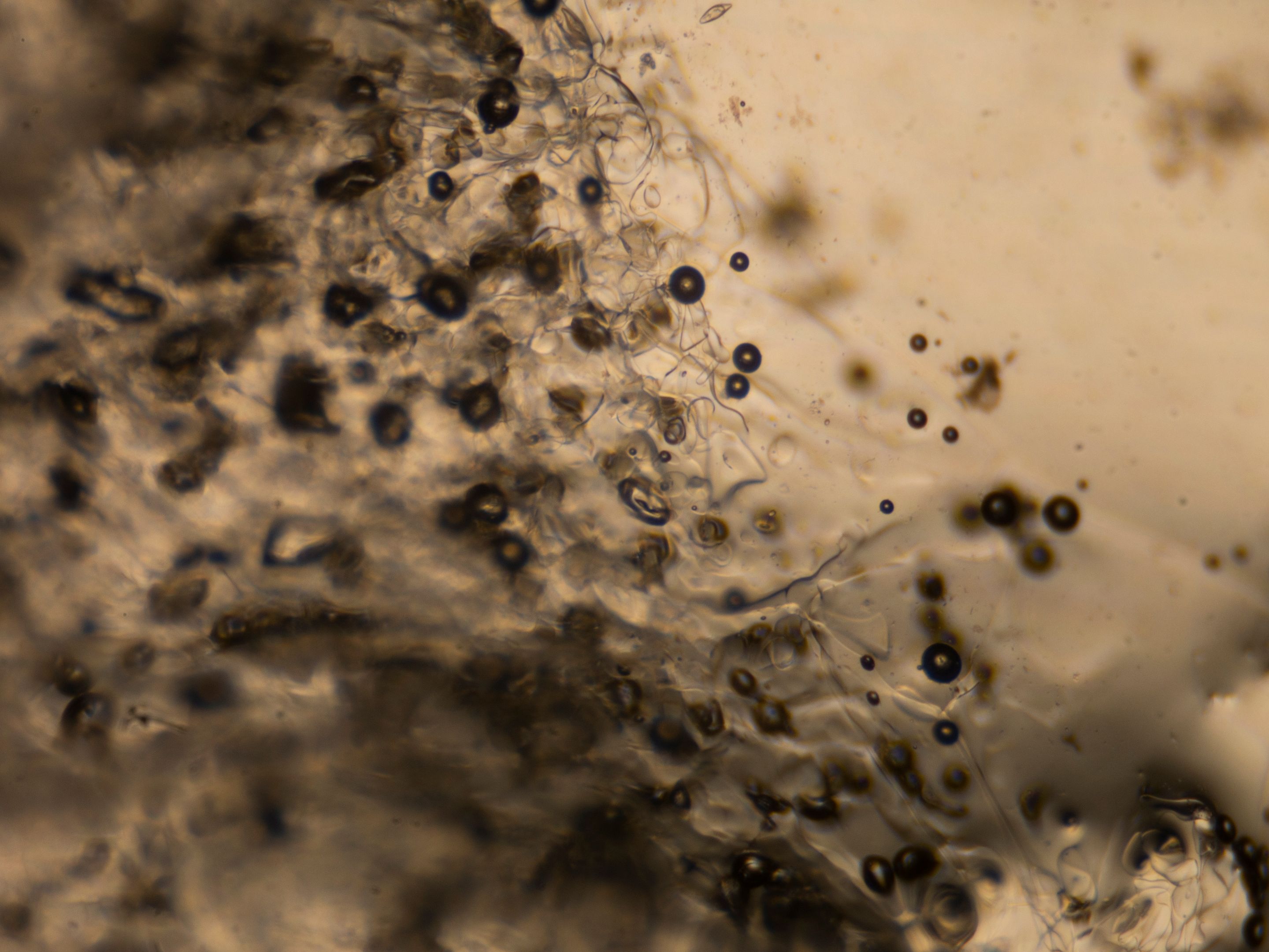 P1140395-1.jpg