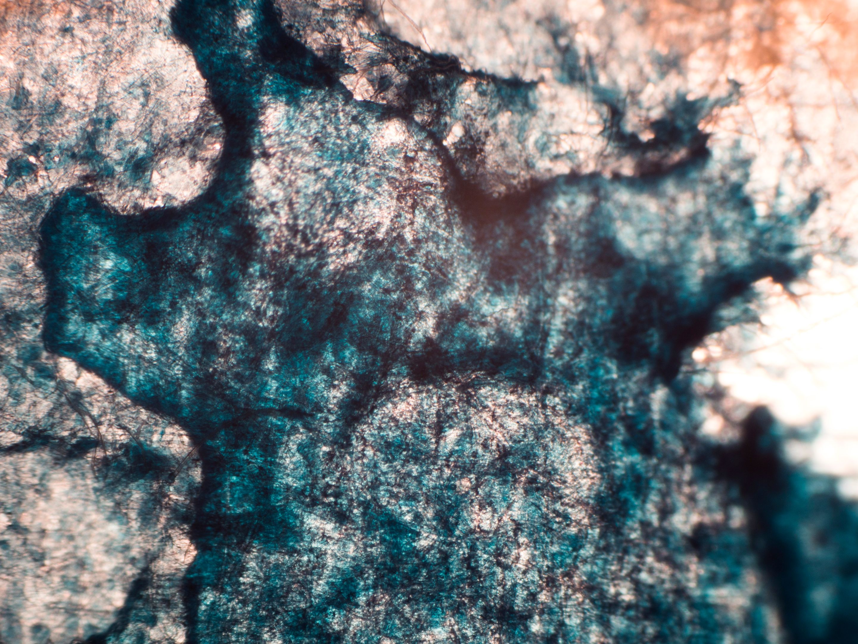 P1120826-1.jpg