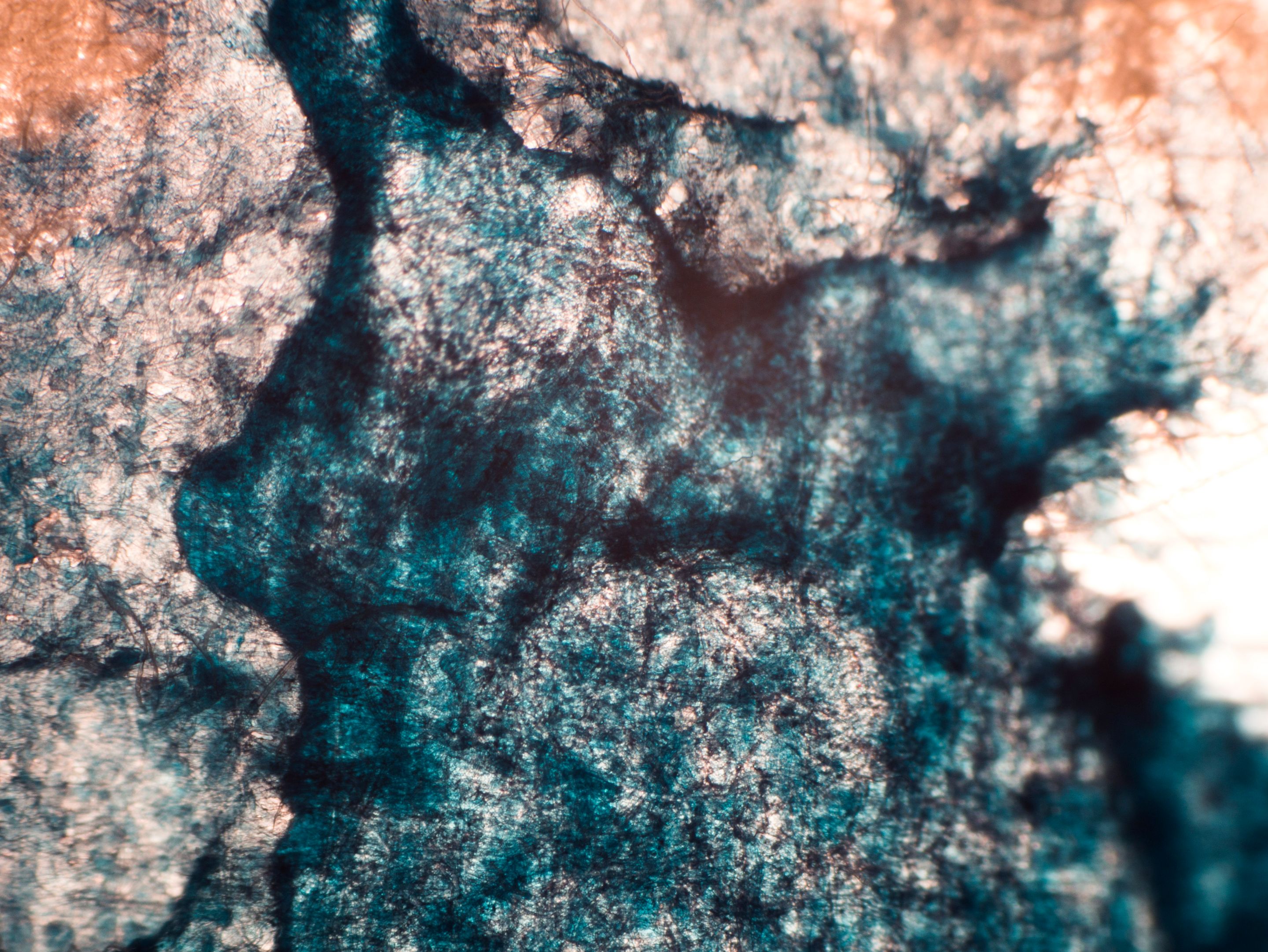 P1120825-1.jpg