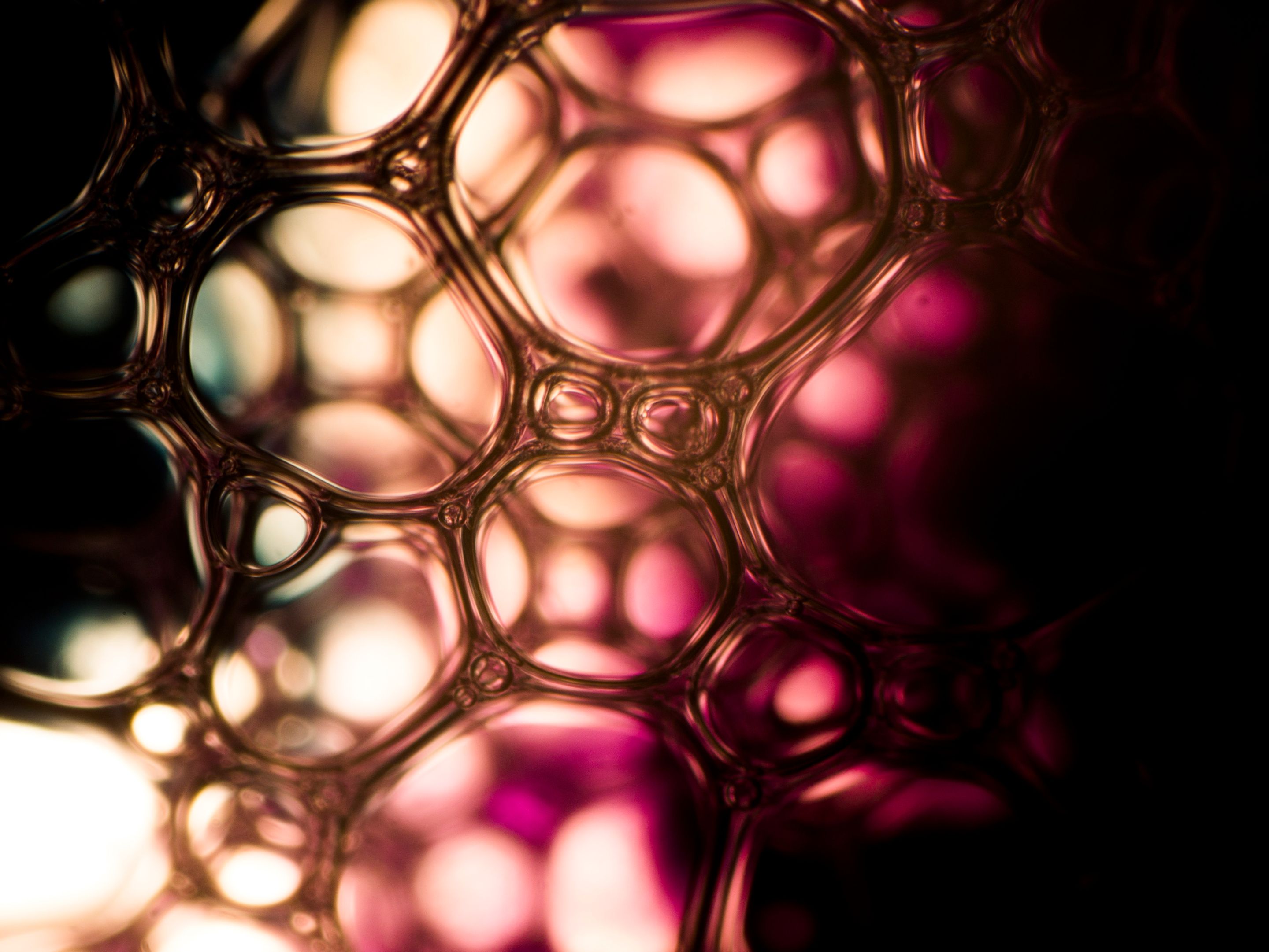 P1120838-1.jpg