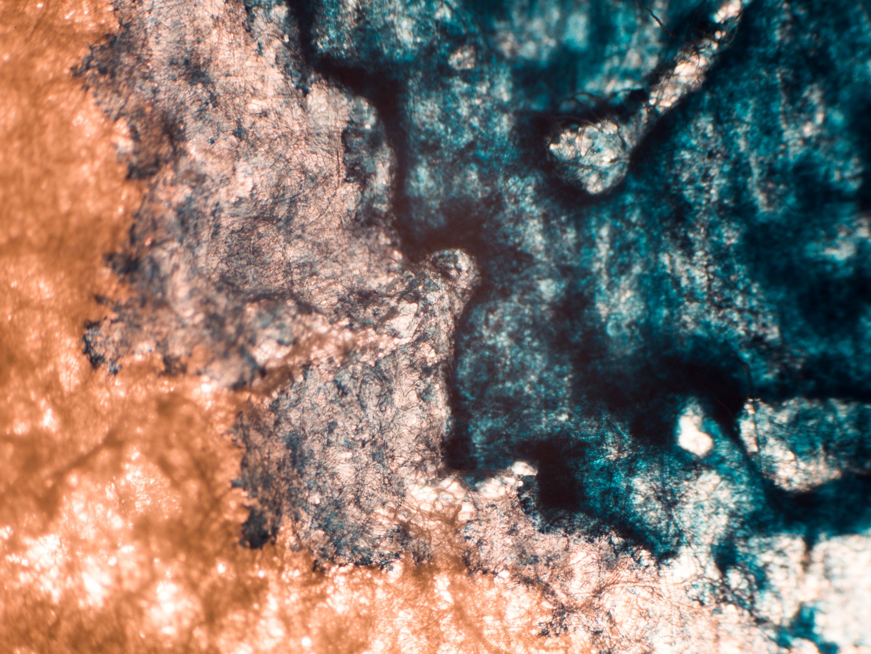 P1120829-1.jpg