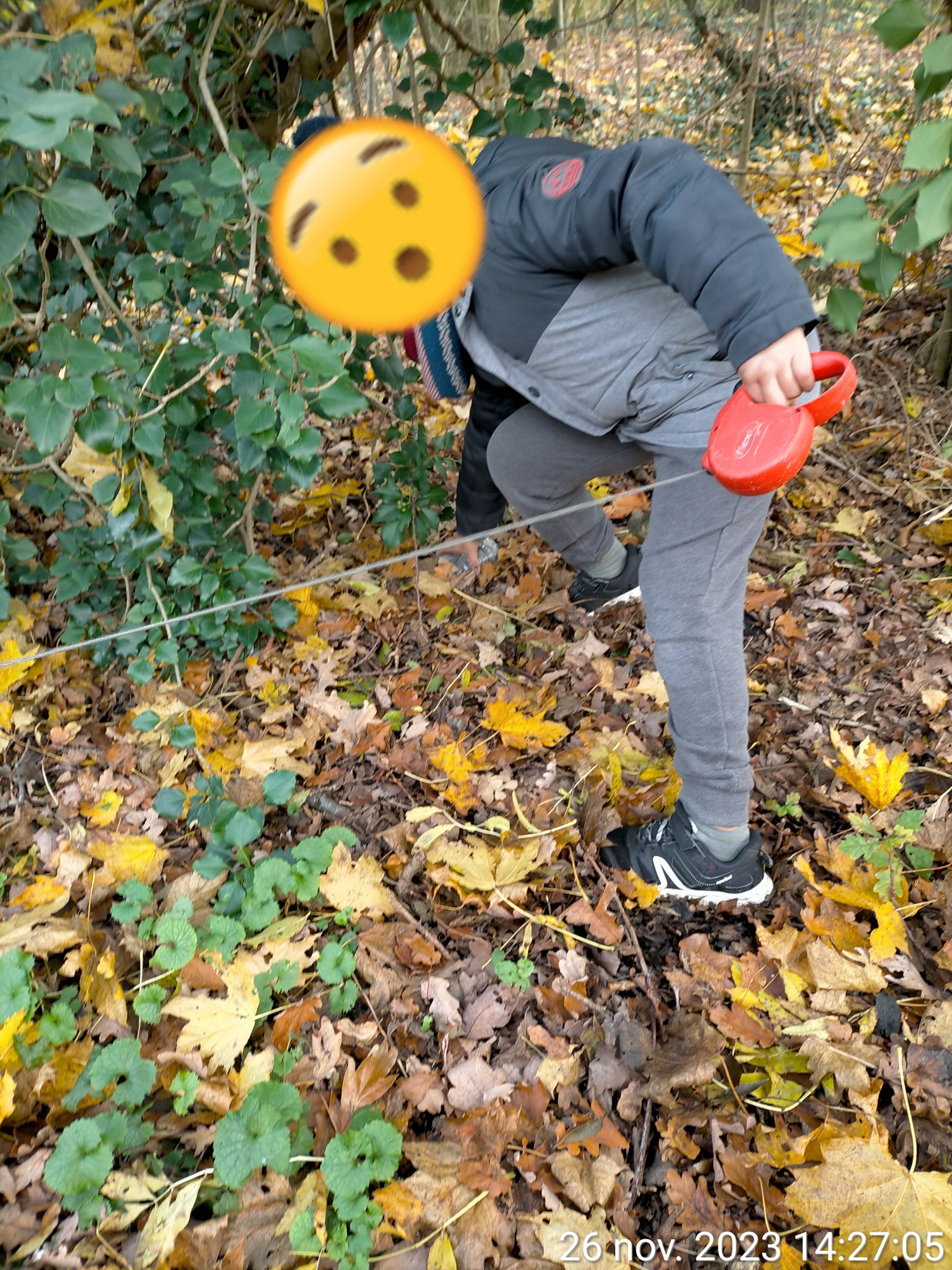 imageonline-co-emojiadded.jpg