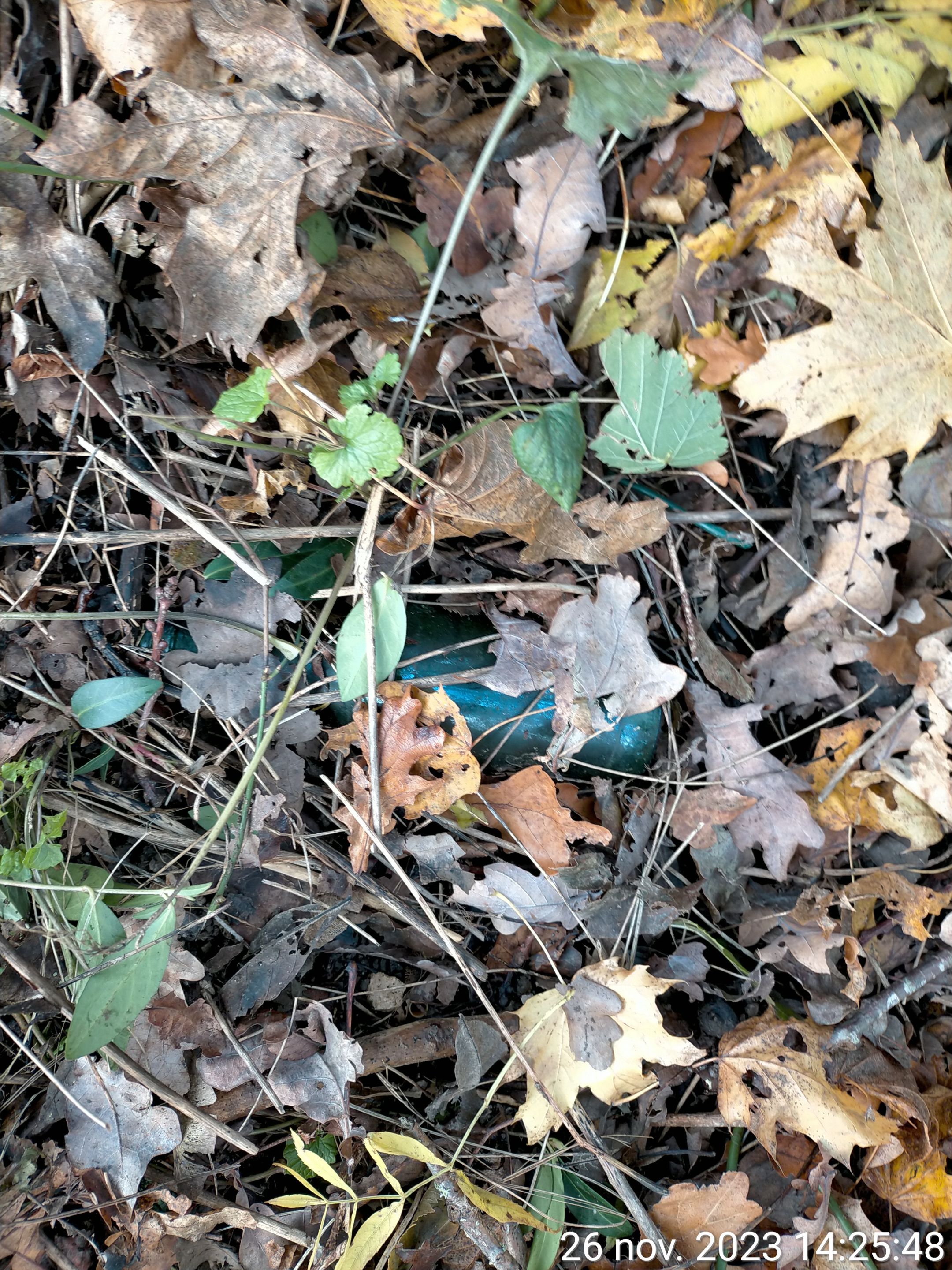 TimePhoto_20231126_142548.jpg