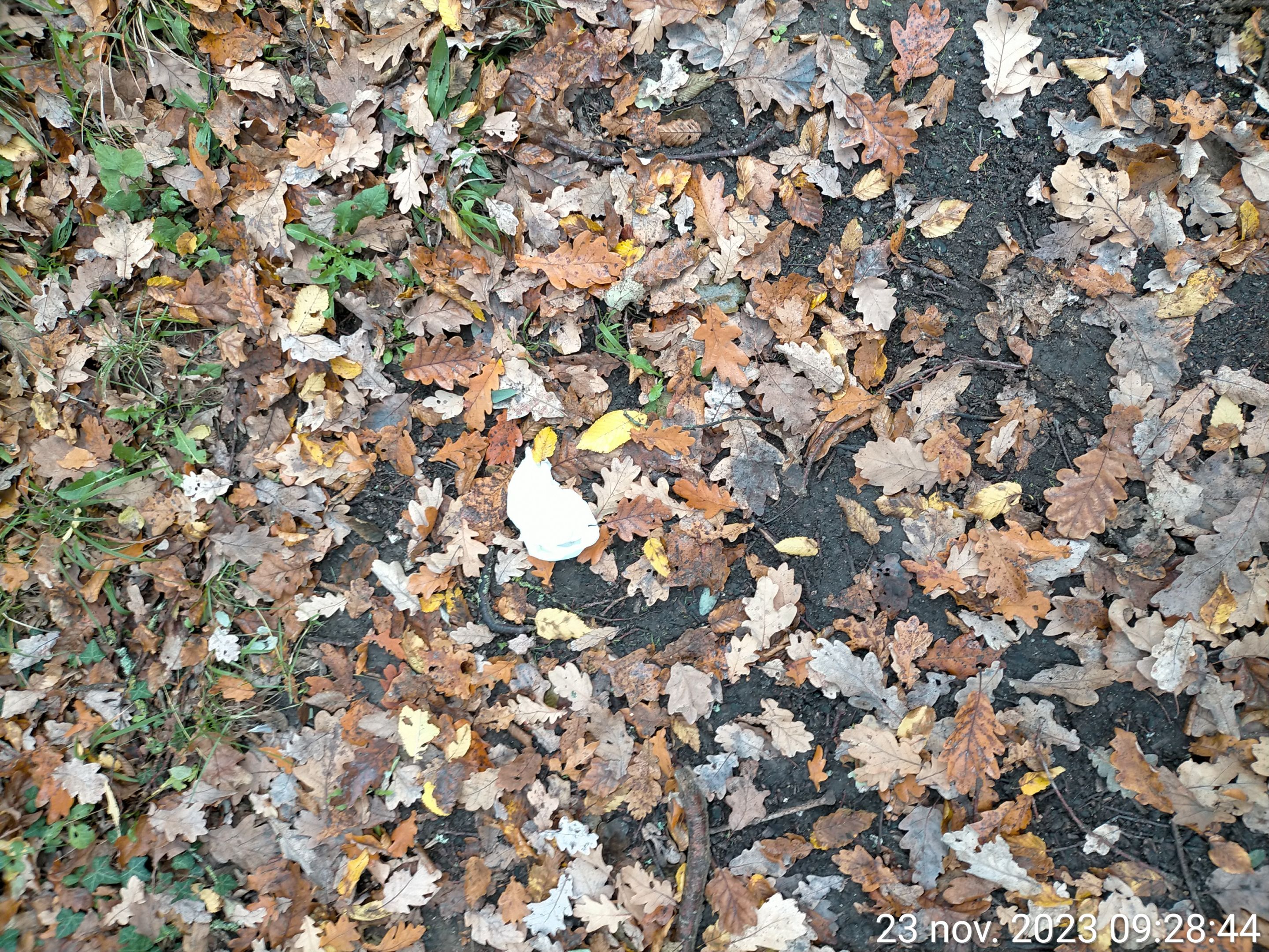 TimePhoto_20231123_092844.jpg