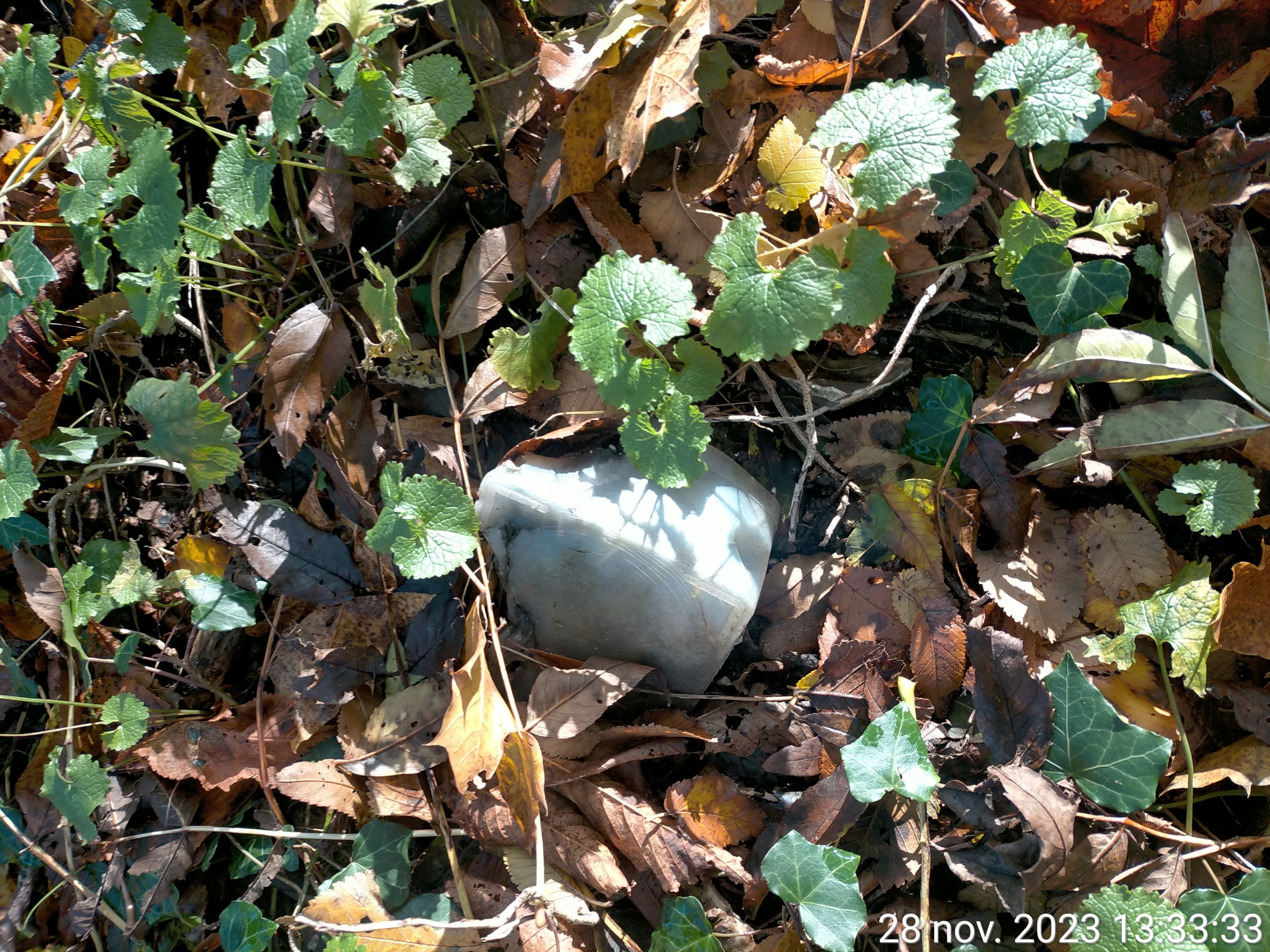 TimePhoto_20231128_133333.jpg
