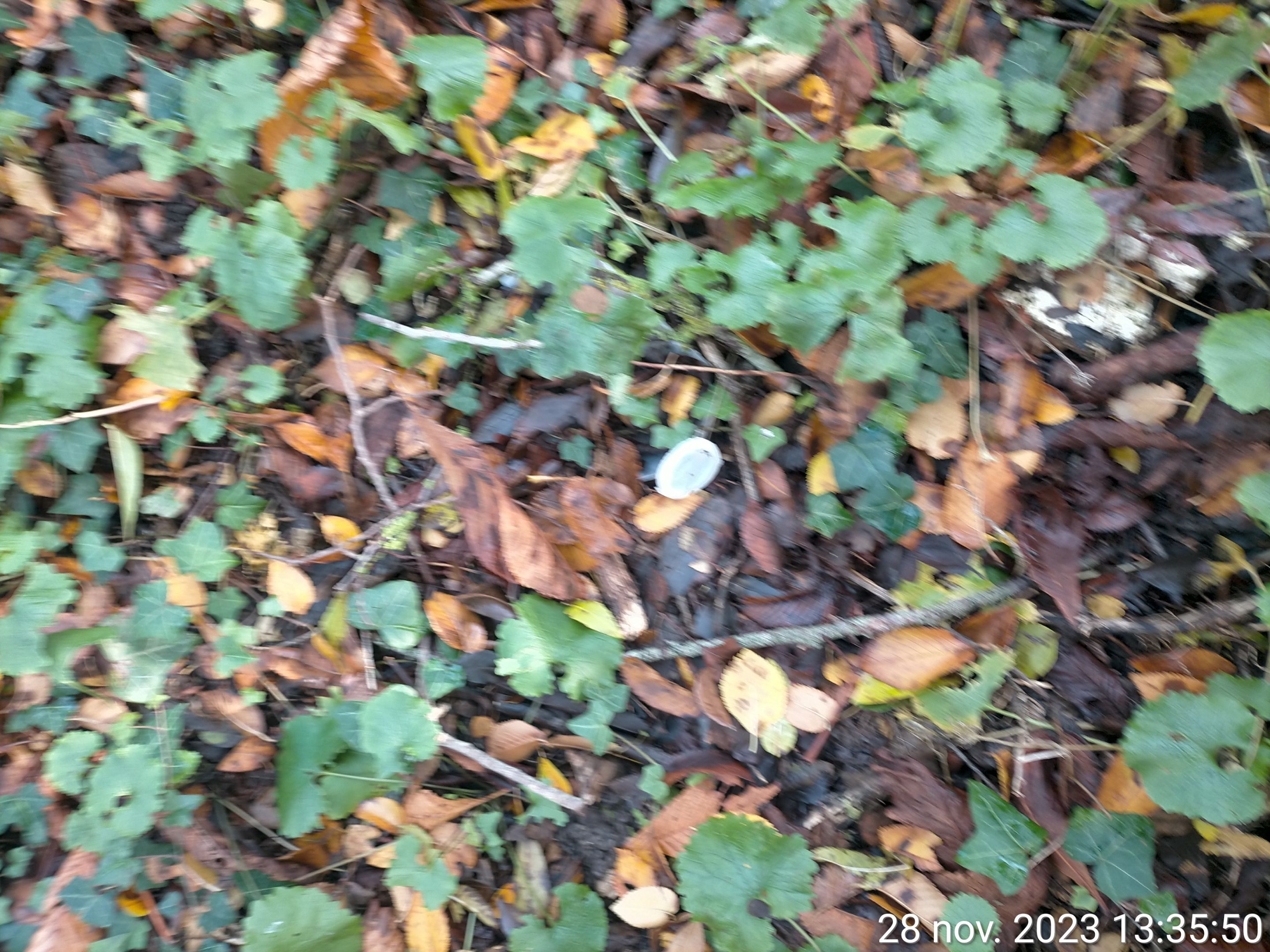 TimePhoto_20231128_133550.jpg