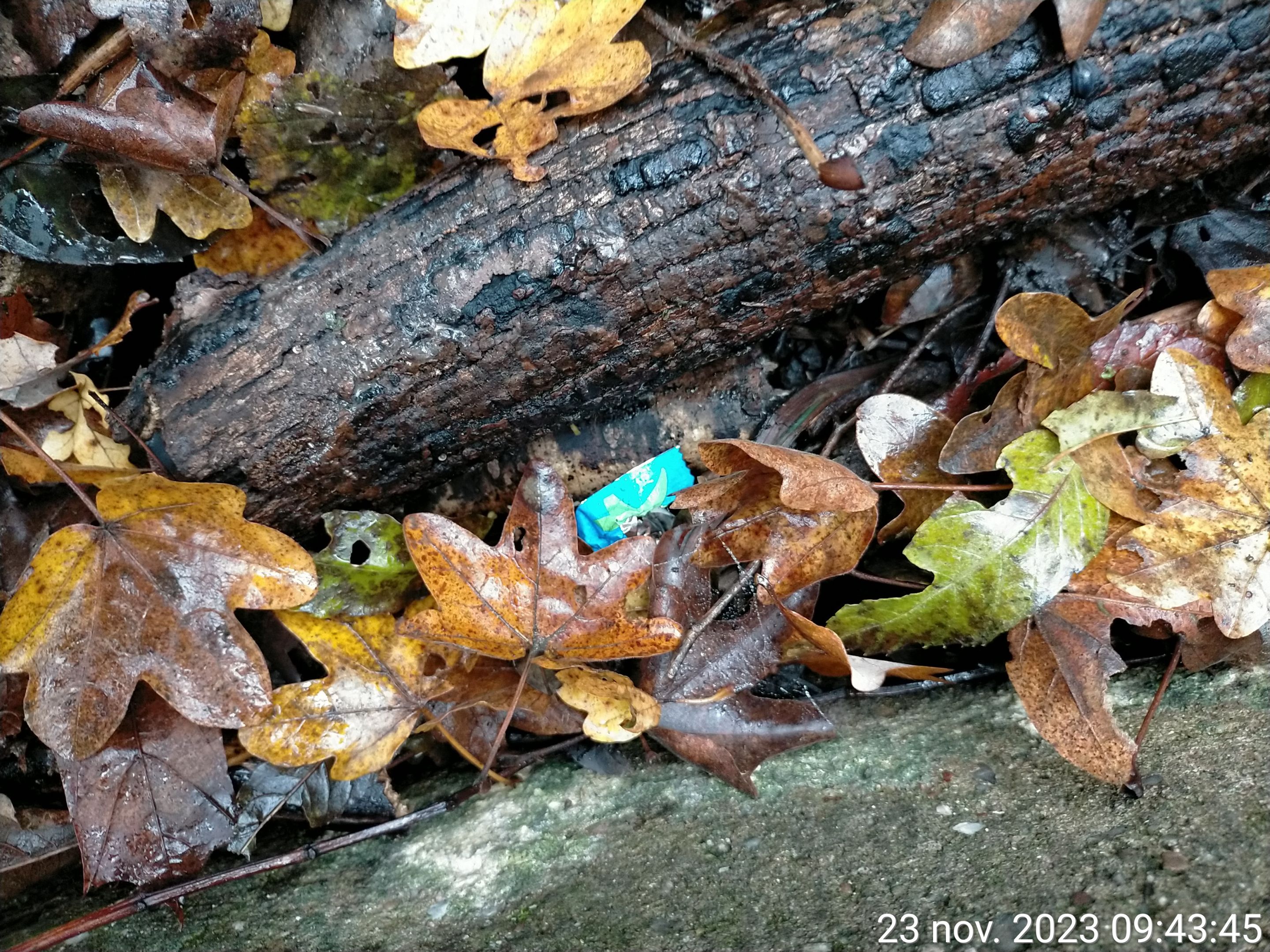 TimePhoto_20231123_094345.jpg