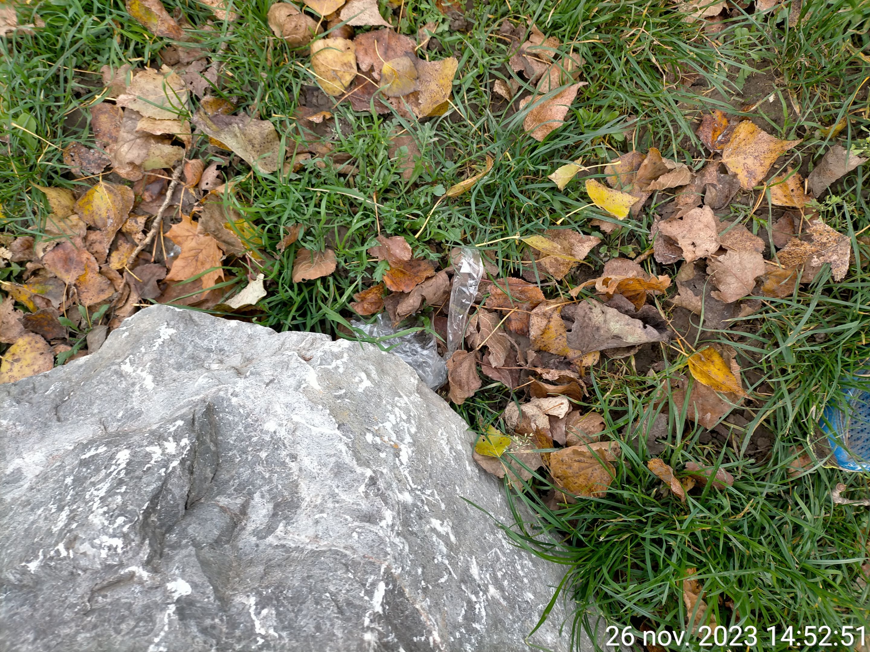 TimePhoto_20231126_145251.jpg