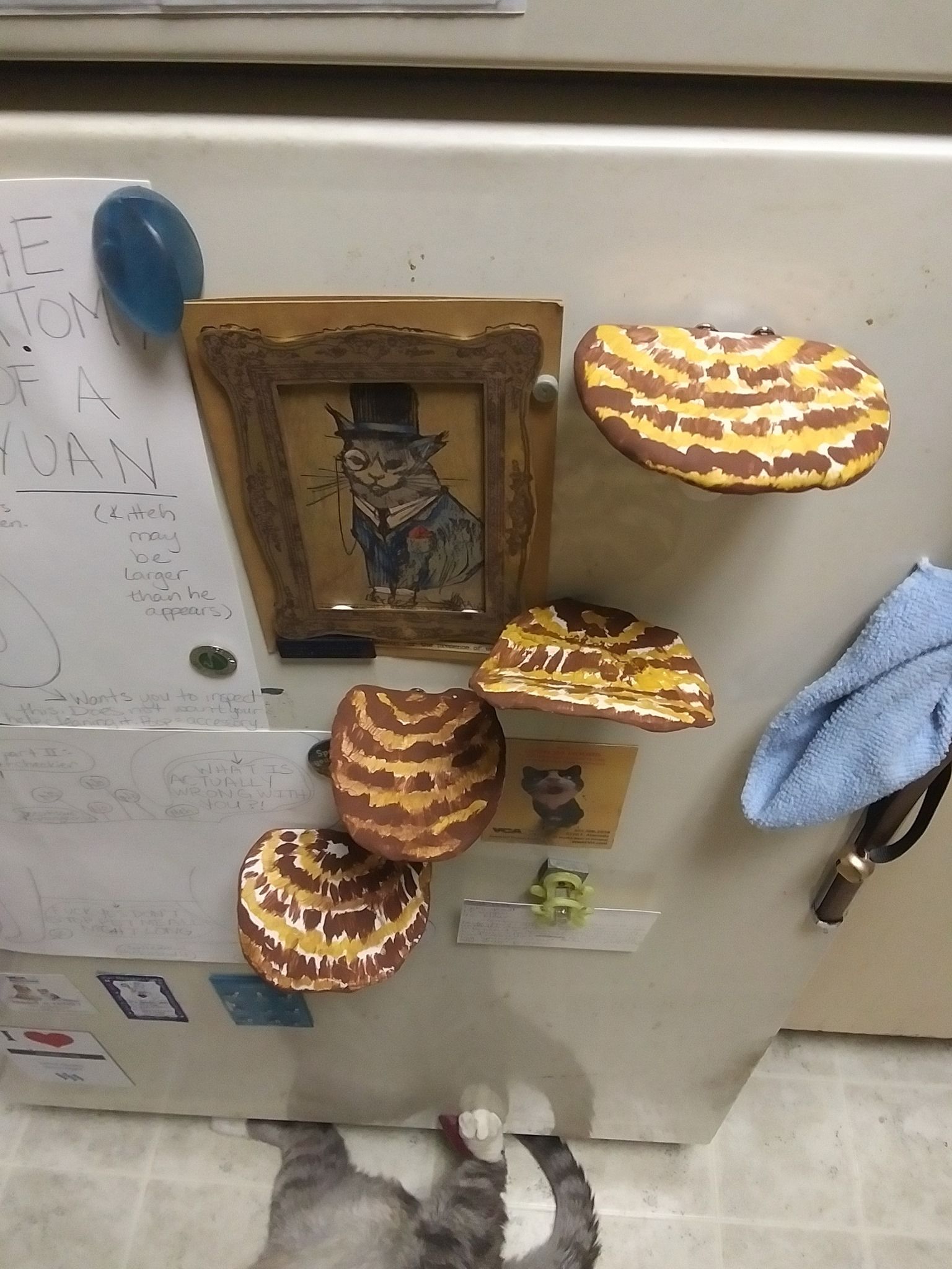 Mushies 1.jpg