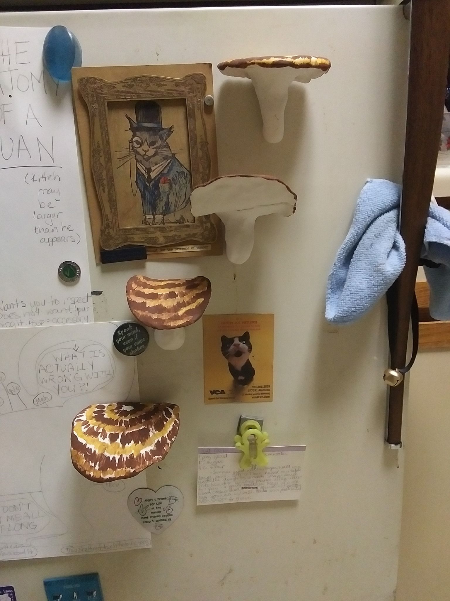Mushies 2.jpg