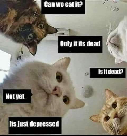 its just depressed.jpg