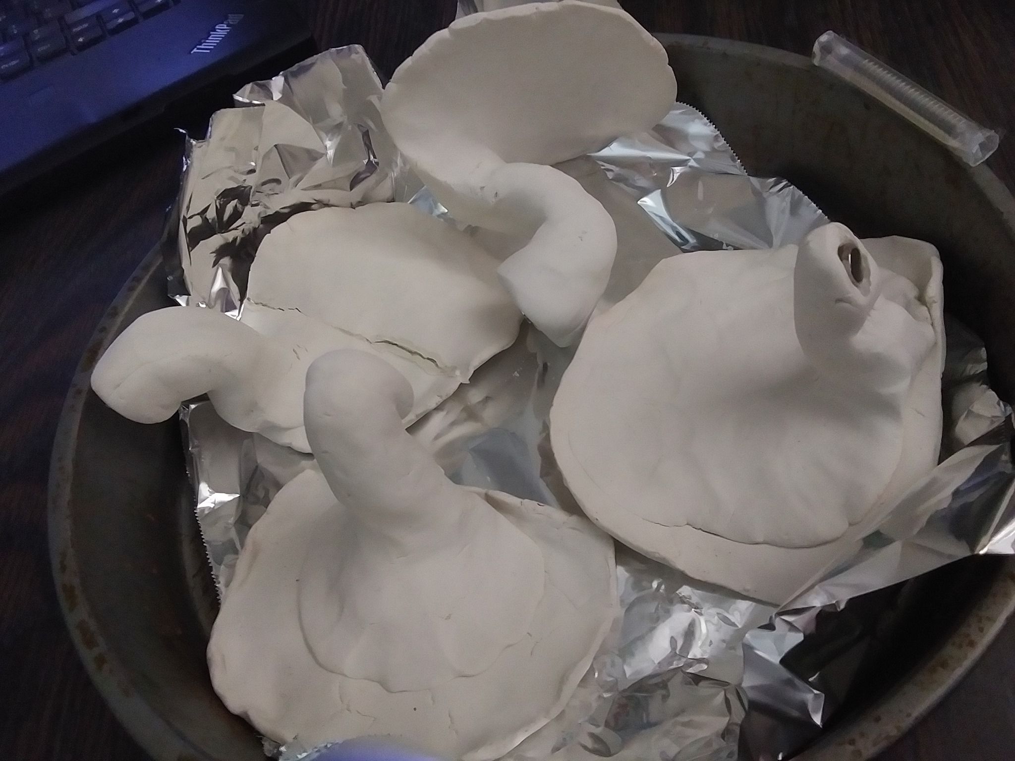 mushie magnets 2.jpg