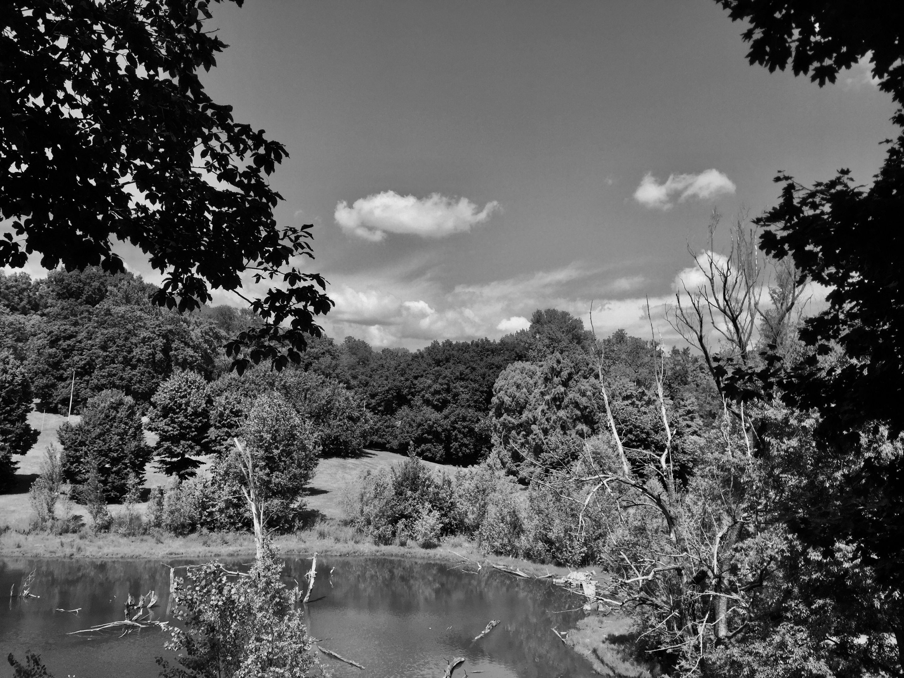 B0703DB4-11CD-4A0B-8D74-3CA661780CD0_1_201_a.jpeg