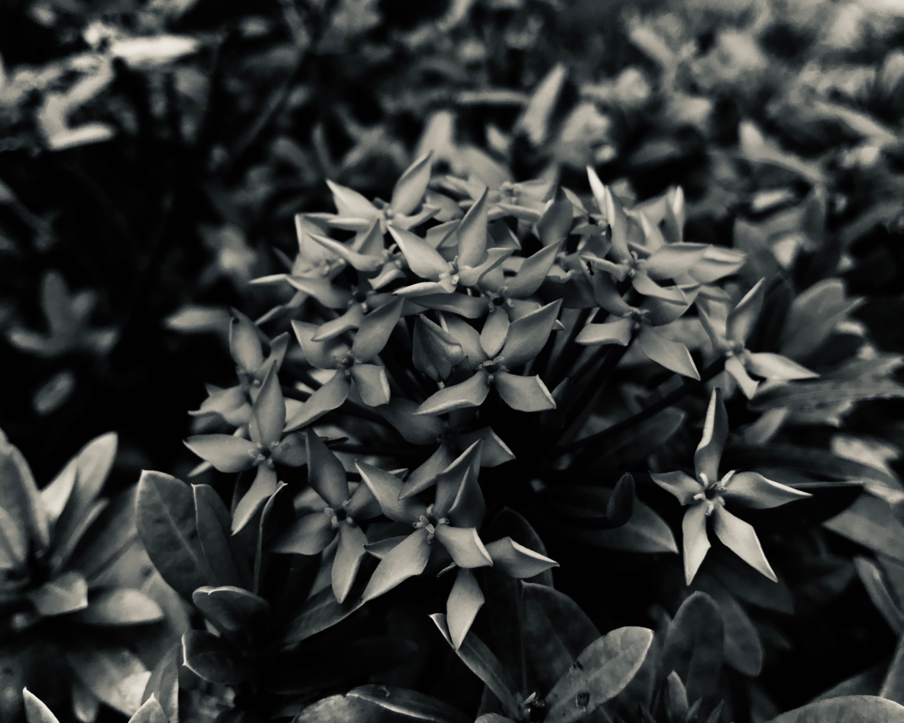 813AA6E7-1FF3-4691-AB35-9FA654CFDBD8.jpeg