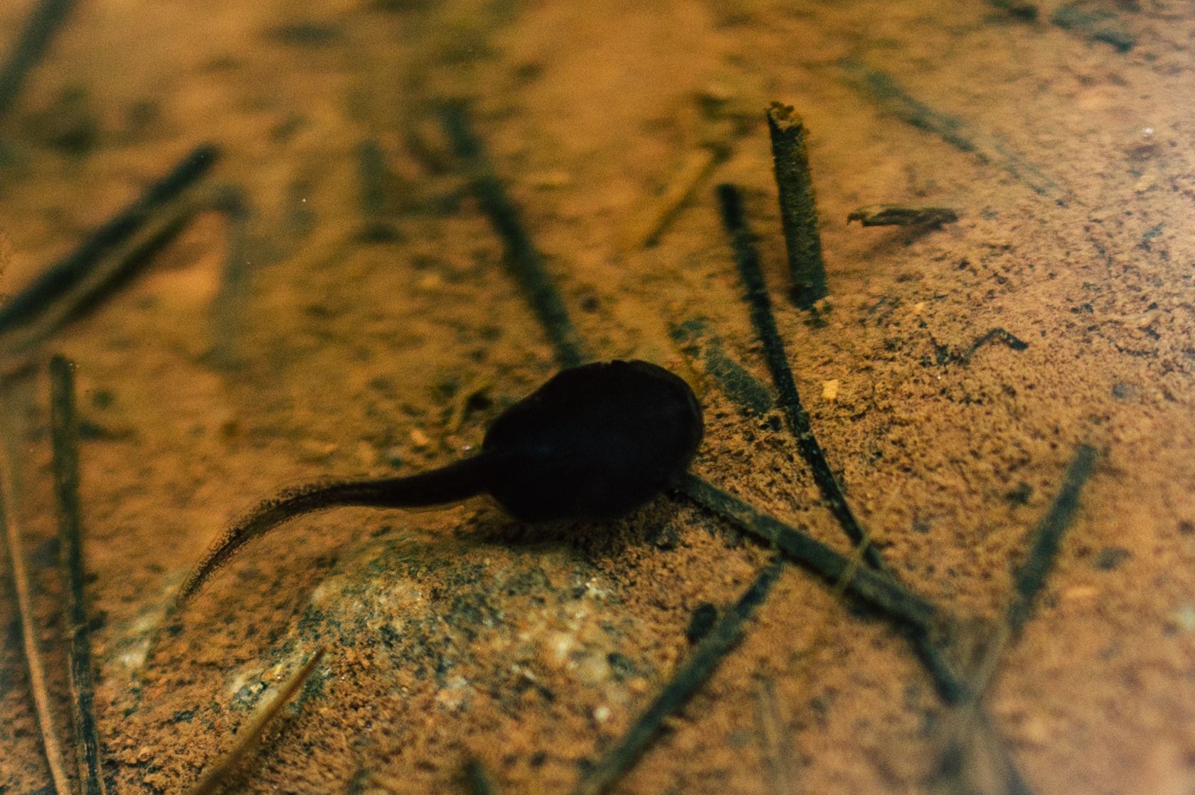 DSC05382-1.jpg