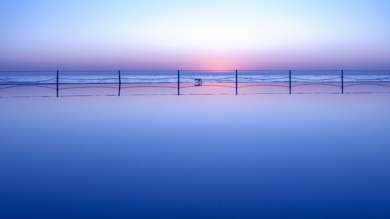 dbphotography.jpeg