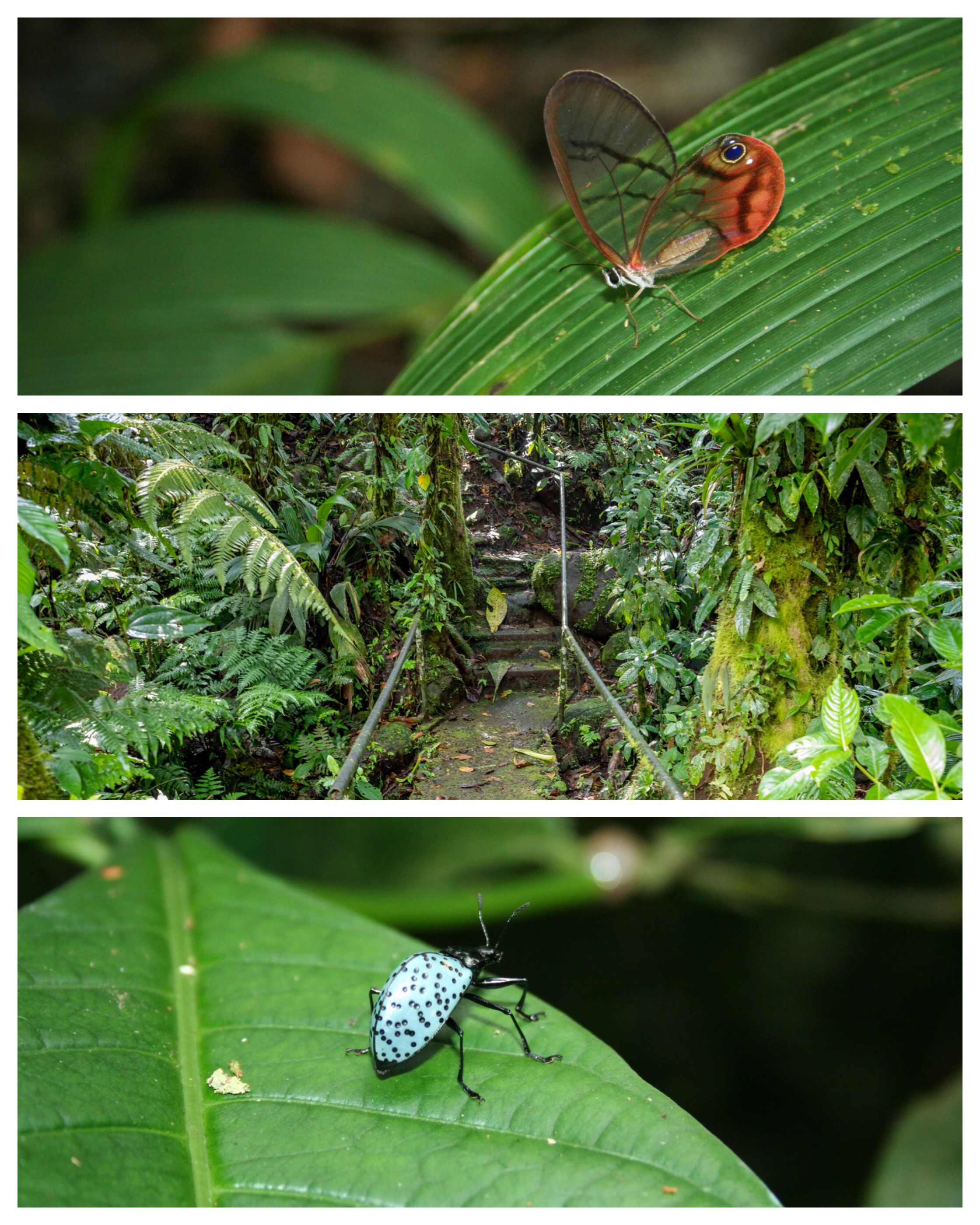 Collage_Fotor(9).jpg