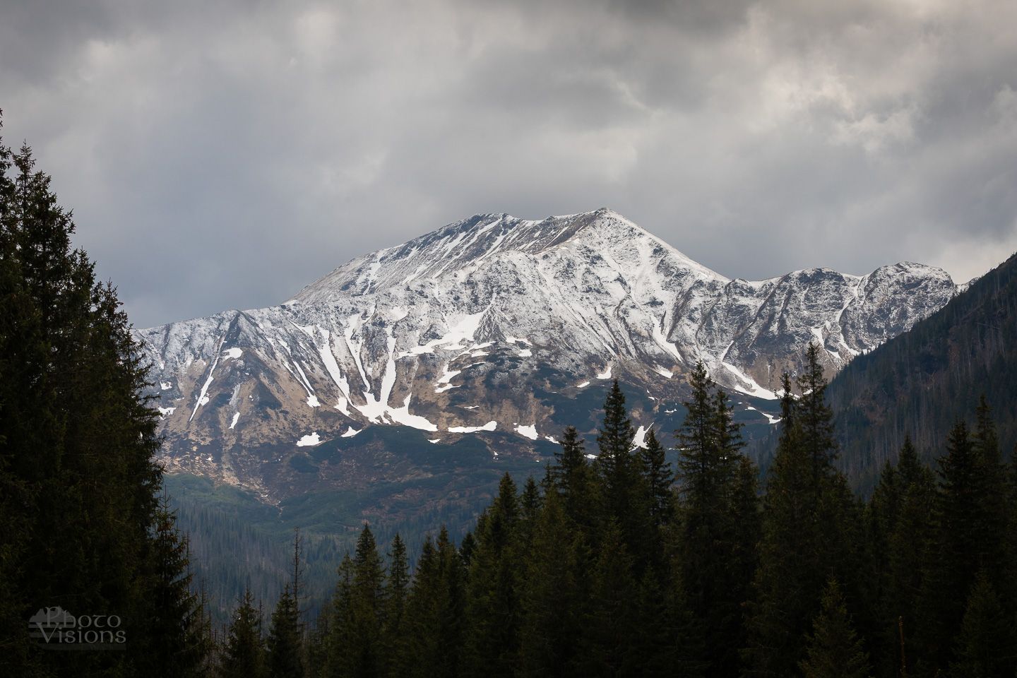 IMG_1889.jpg