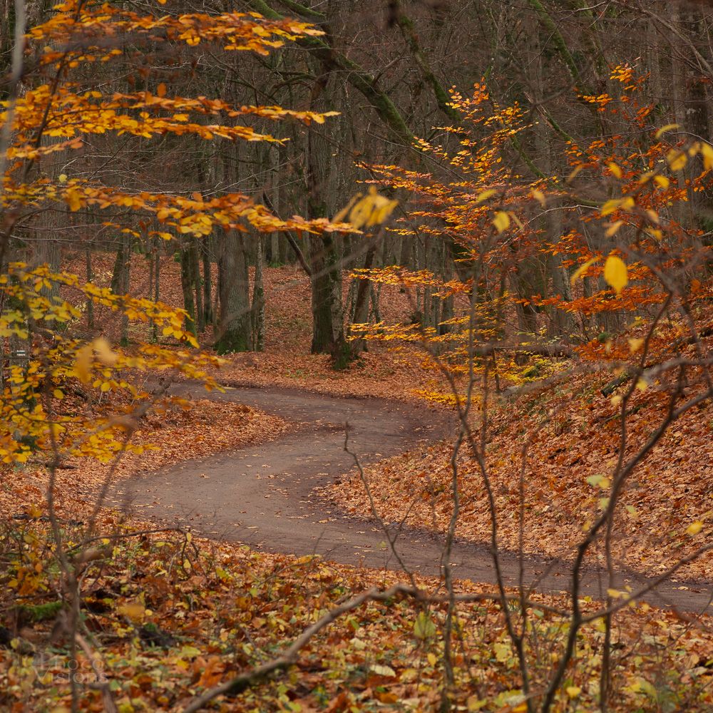 IMG_9791.jpg