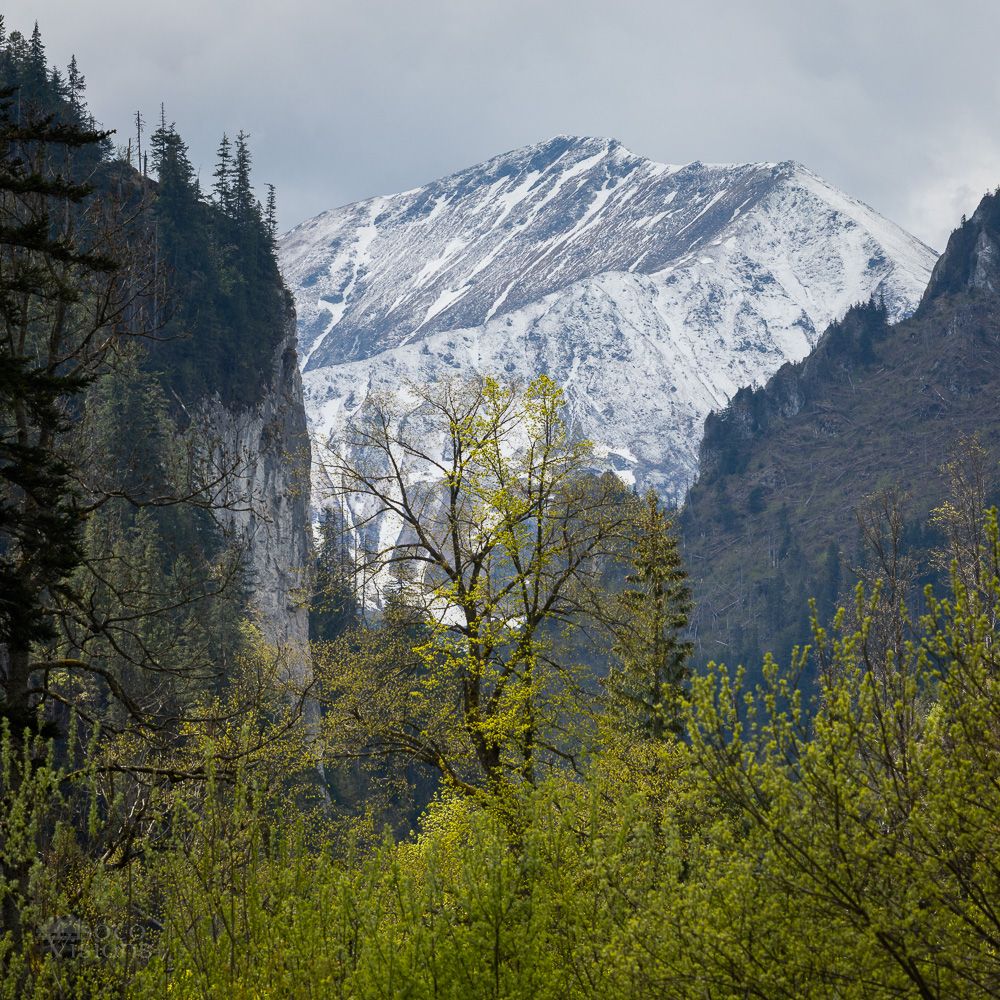 IMG_1780.jpg