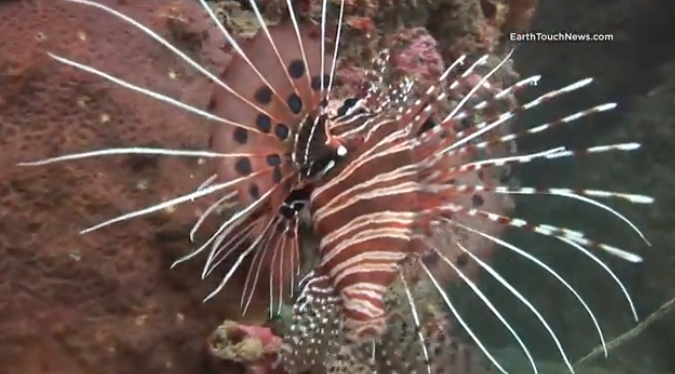 Screen Shot 2022-04-24 at 11.32.59.png