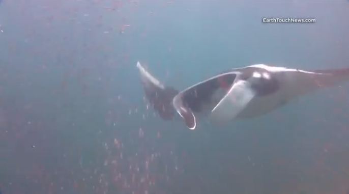 Screen Shot 2022-04-24 at 11.14.58.png