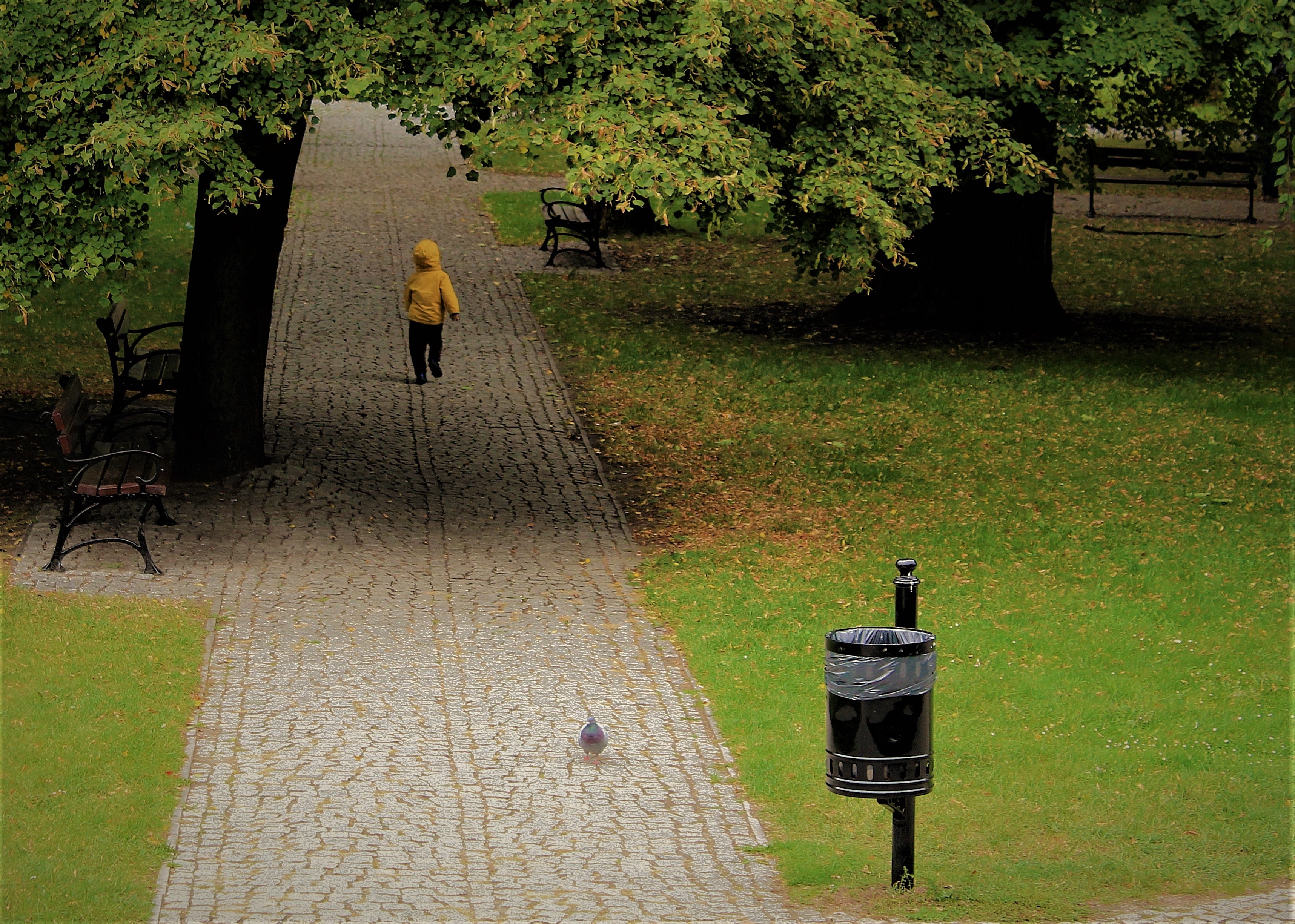 Rule of Thirds.jpg