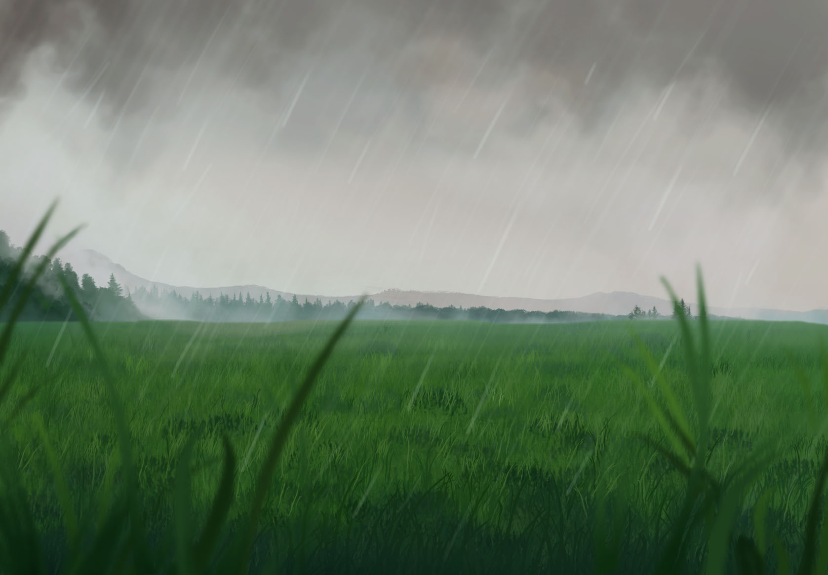 Illu clairière pluie.jpg