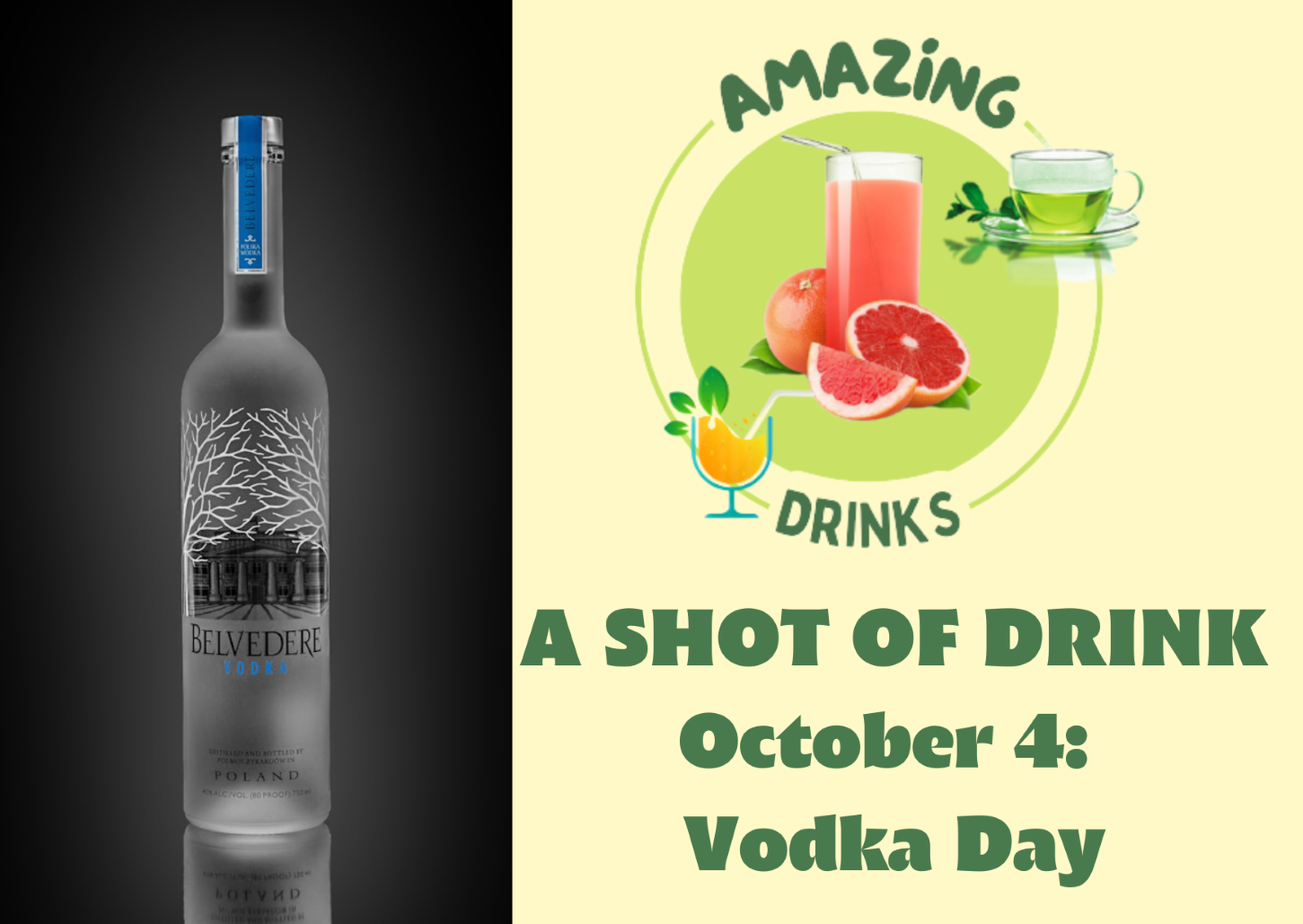 VODKA DAY.png