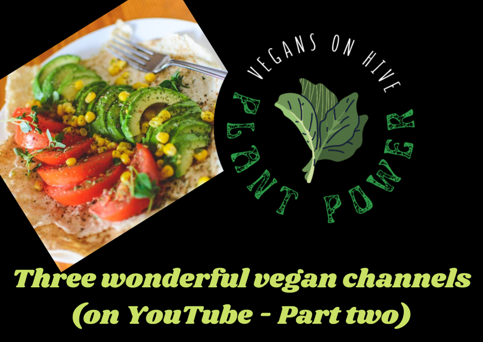 VEGAN CHANNELS 2.png