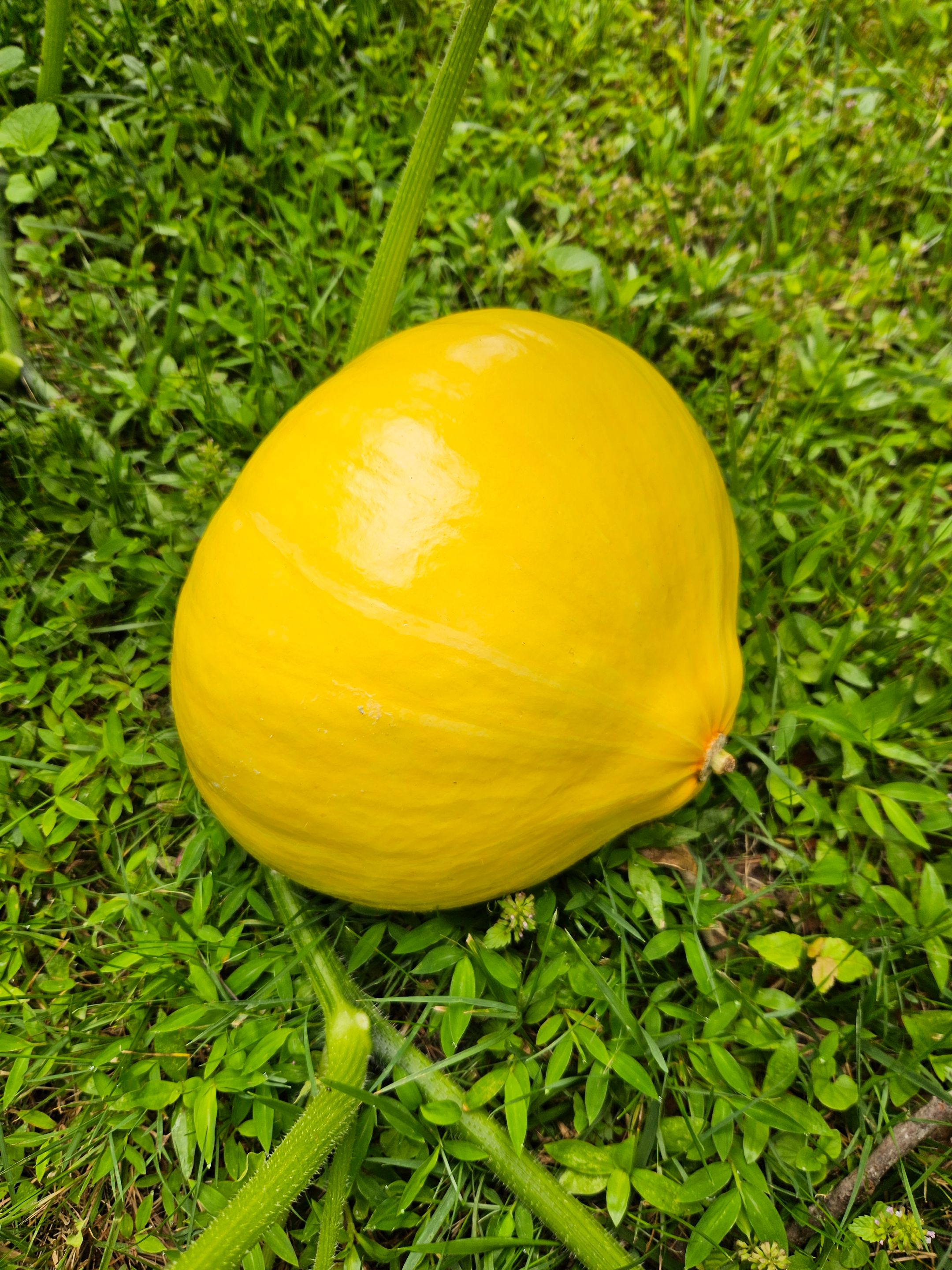 20250604_110057.jpg