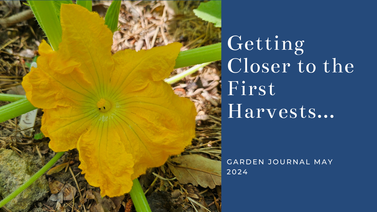 Garden Journal May 2024.png