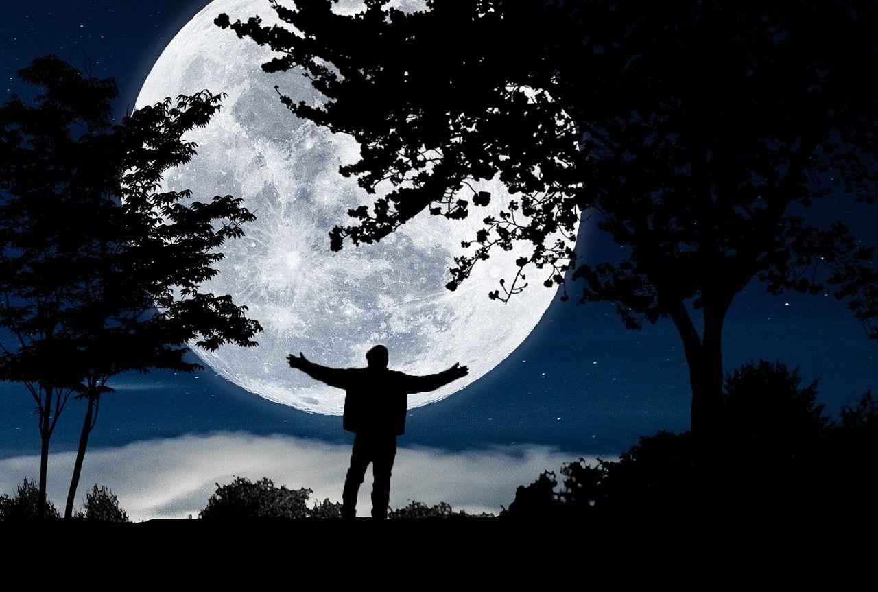 moonlight-5328900_1280.jpg