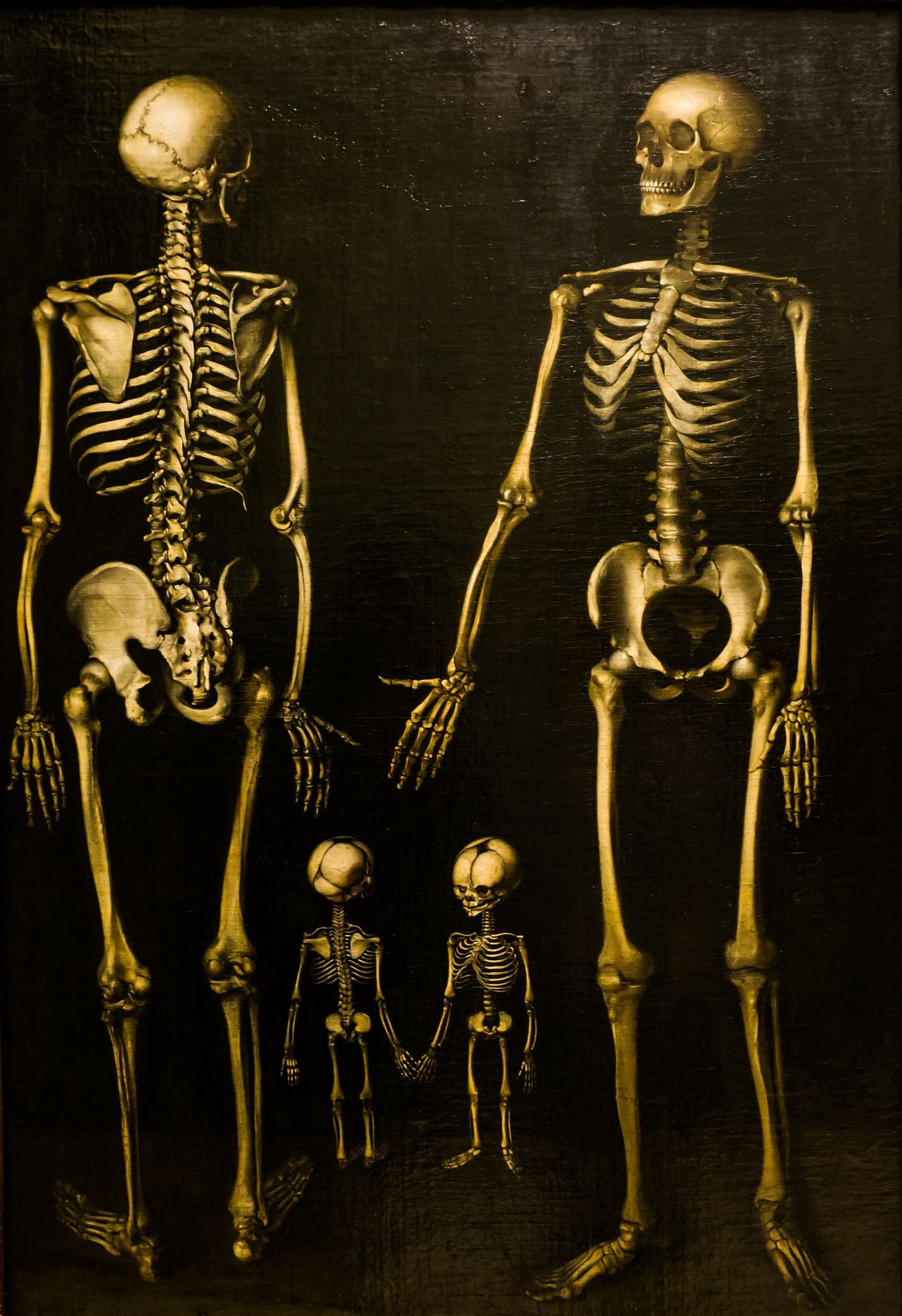 skeletons-238135_1920.jpg